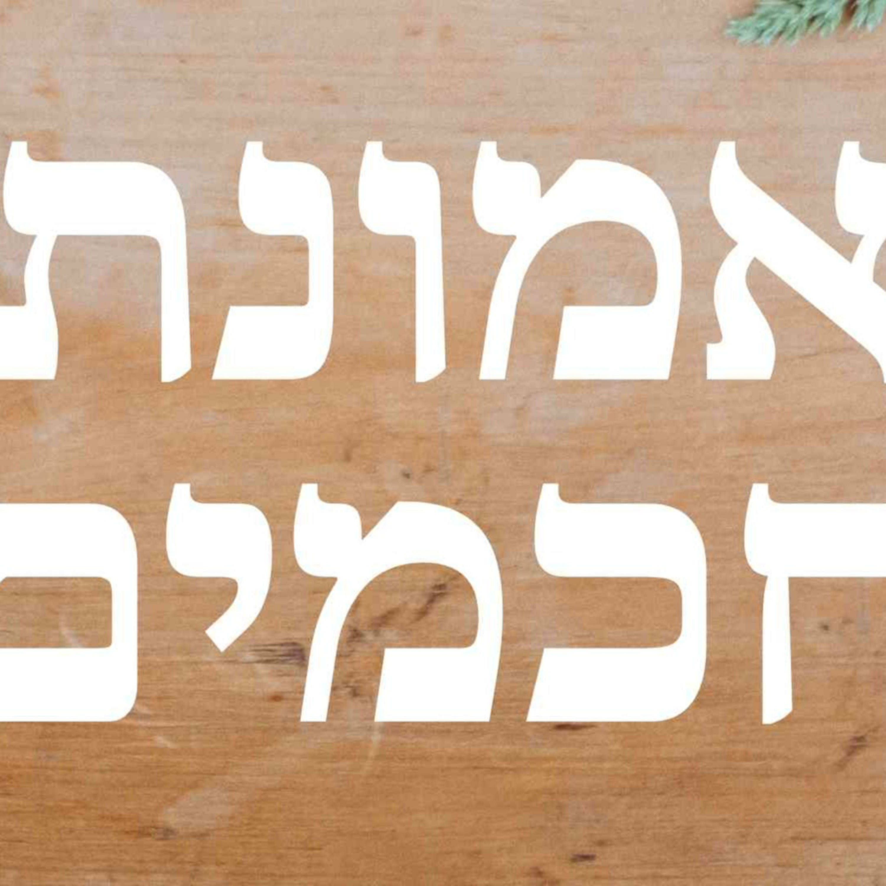 התקרבות לצדיקים - אמונת חכמים podcast artwork