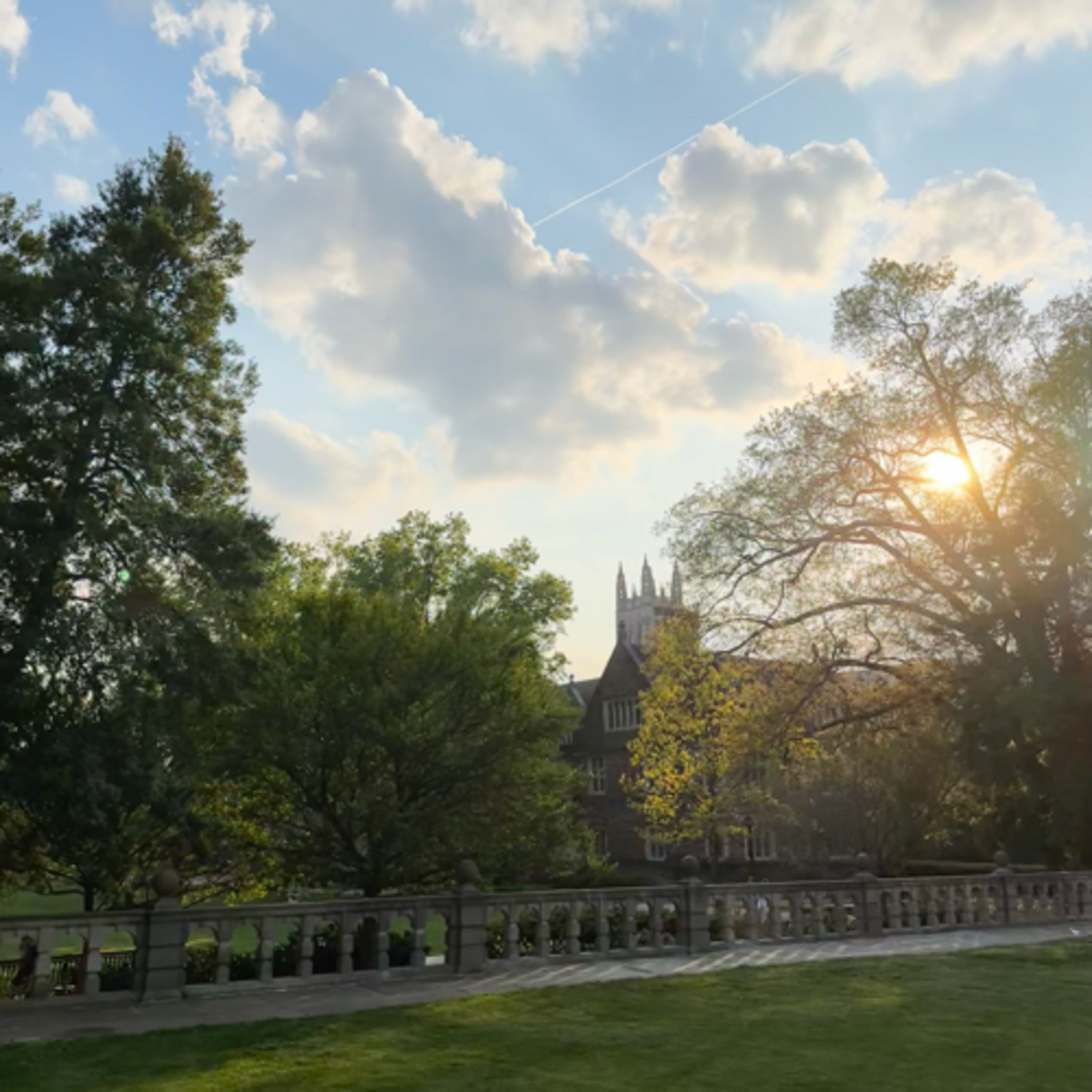 The Dawn of Discourse