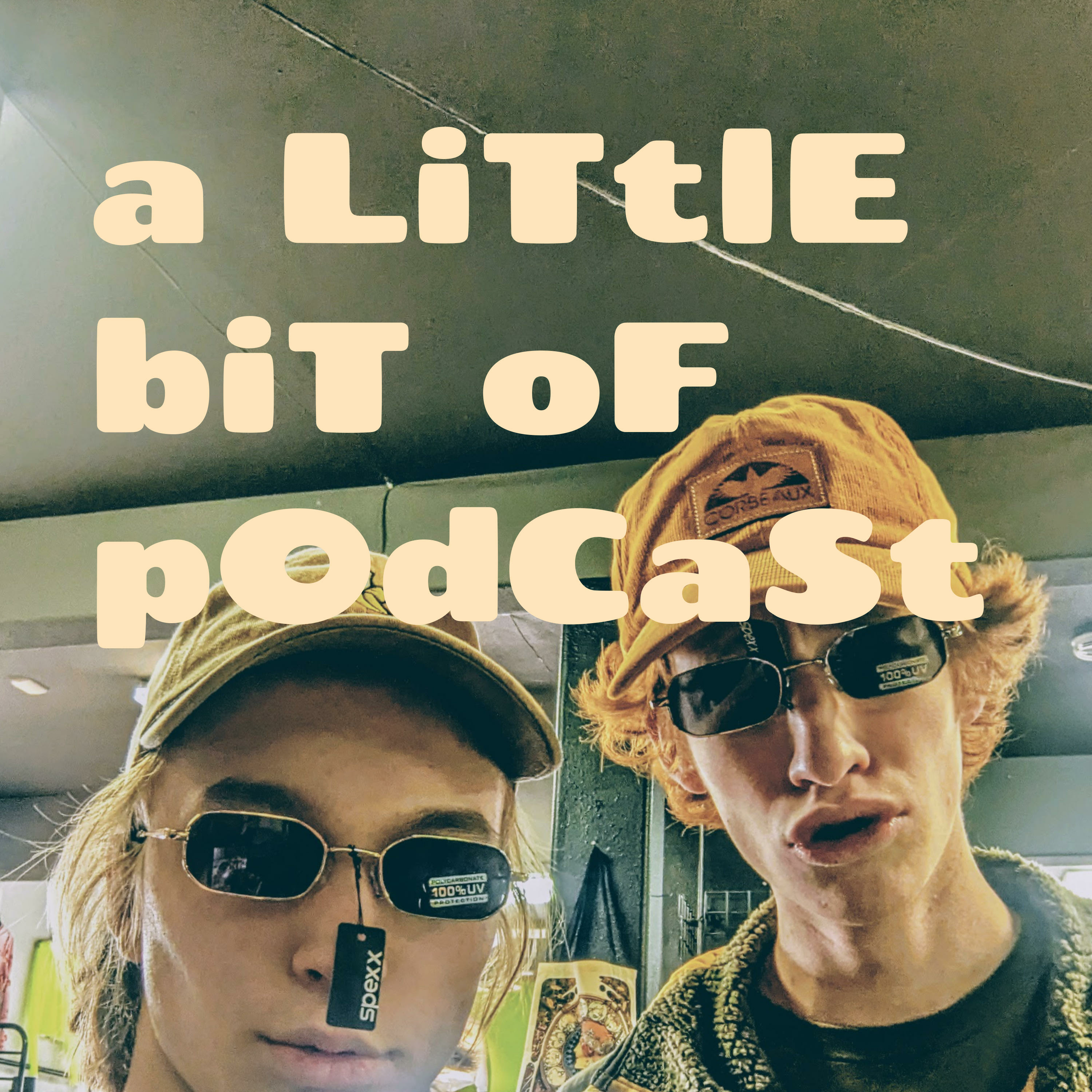 a LiTtlE biT oF pOdCaSt