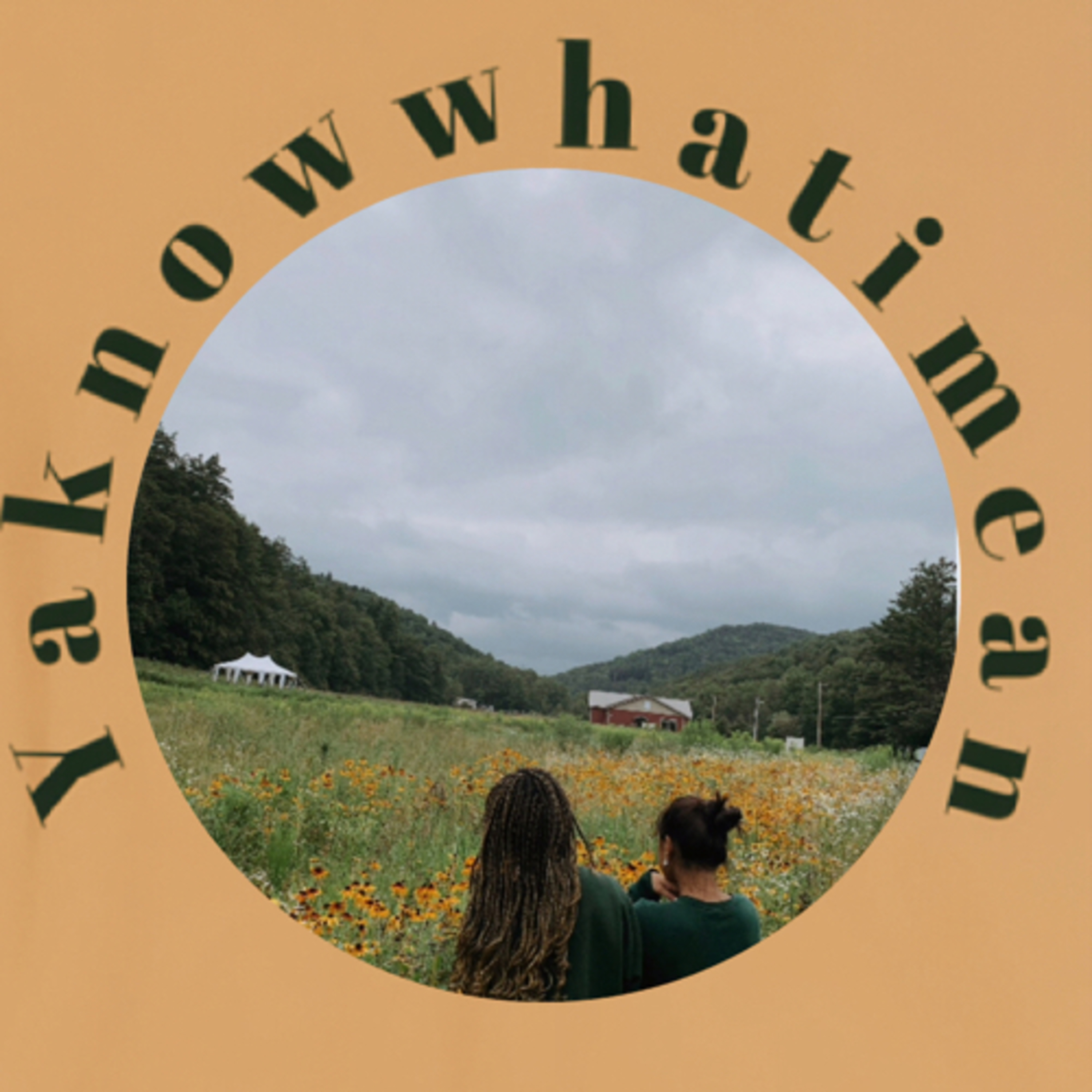 Yaknowwhatimean podcast artwork