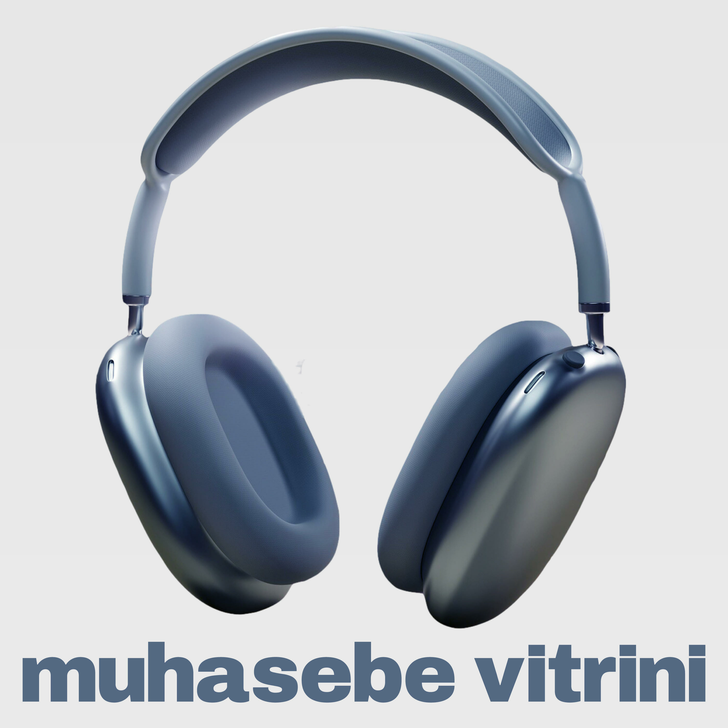 Muhasebe Vitrini