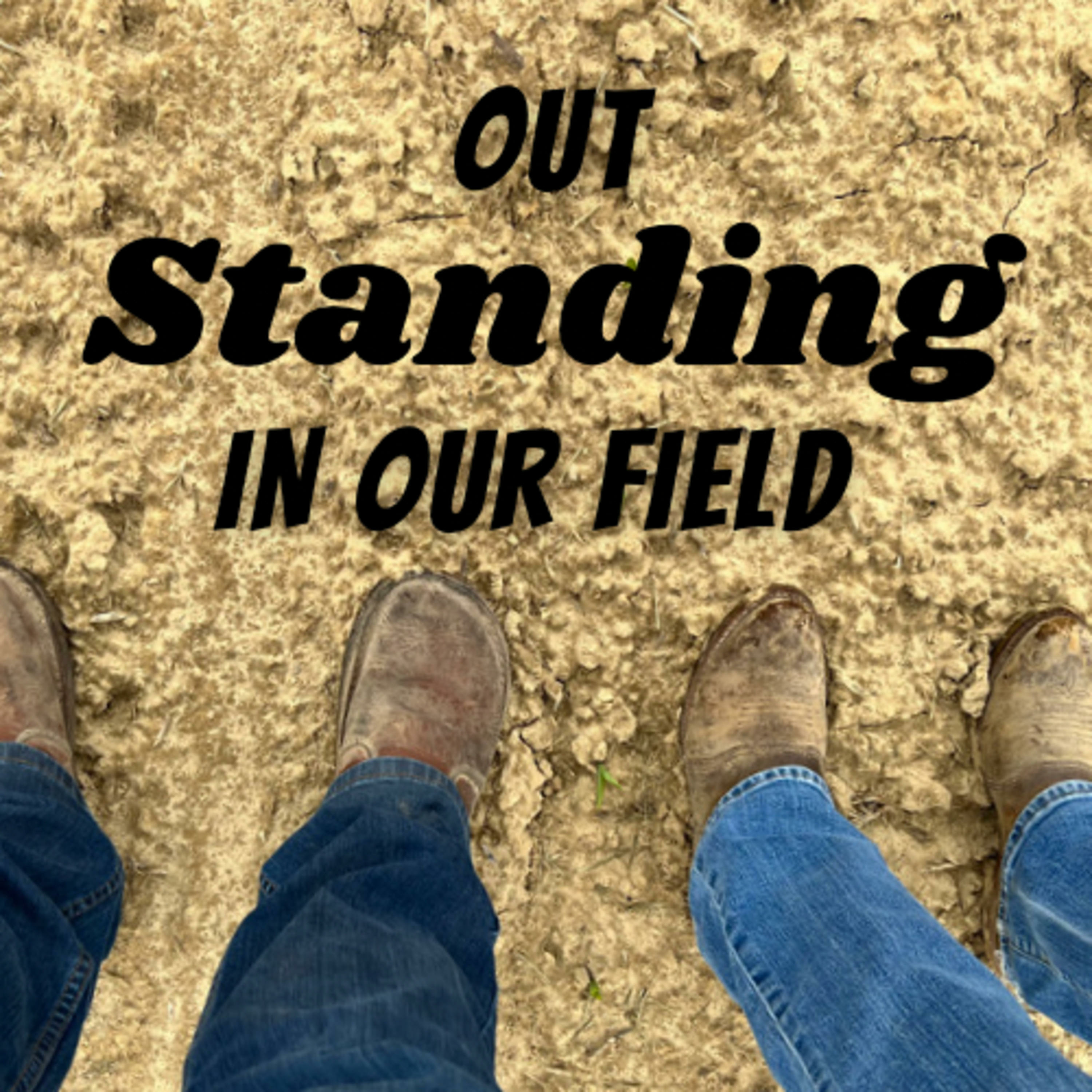 Out Standing in Our Field