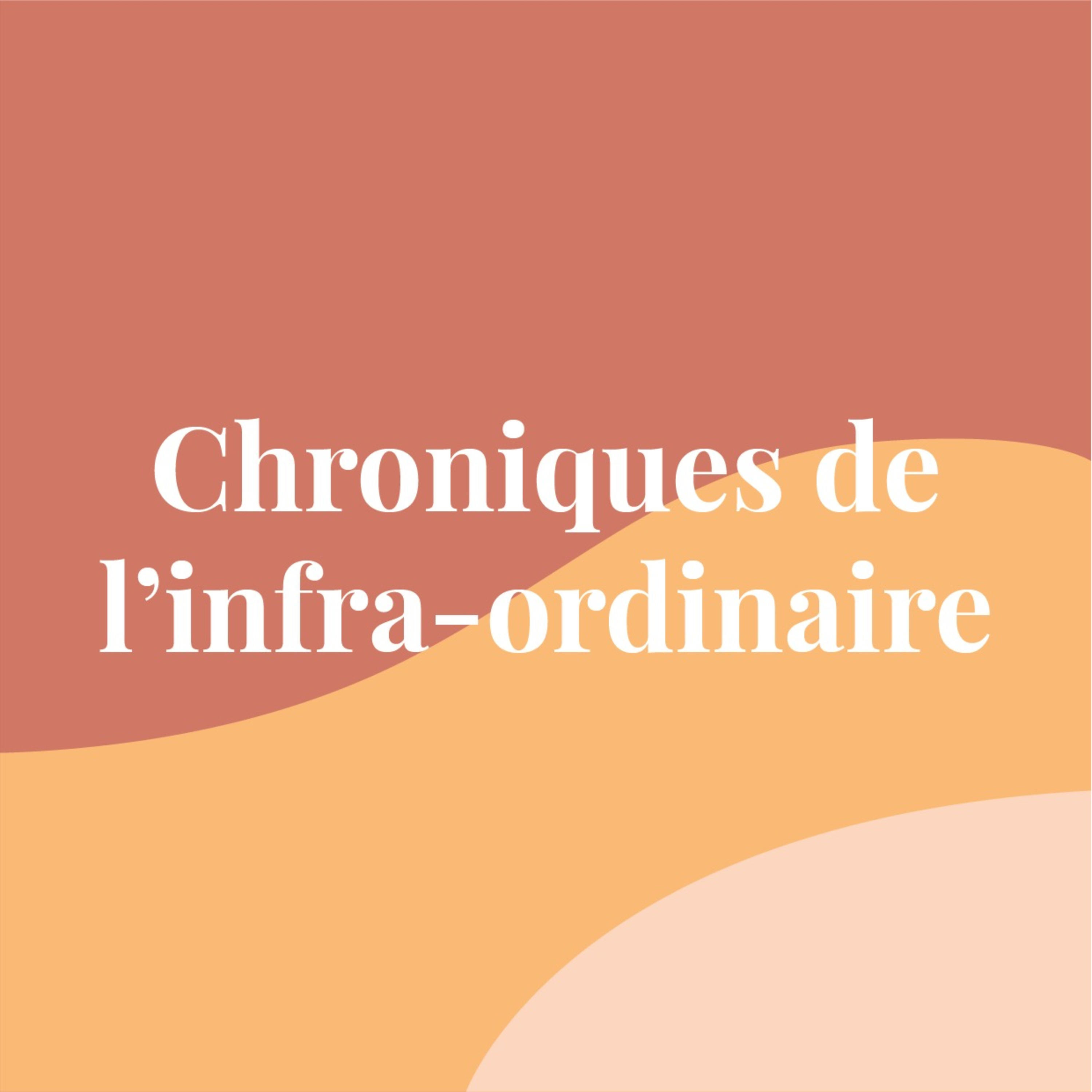 Chroniques de l\'infra-ordinaire