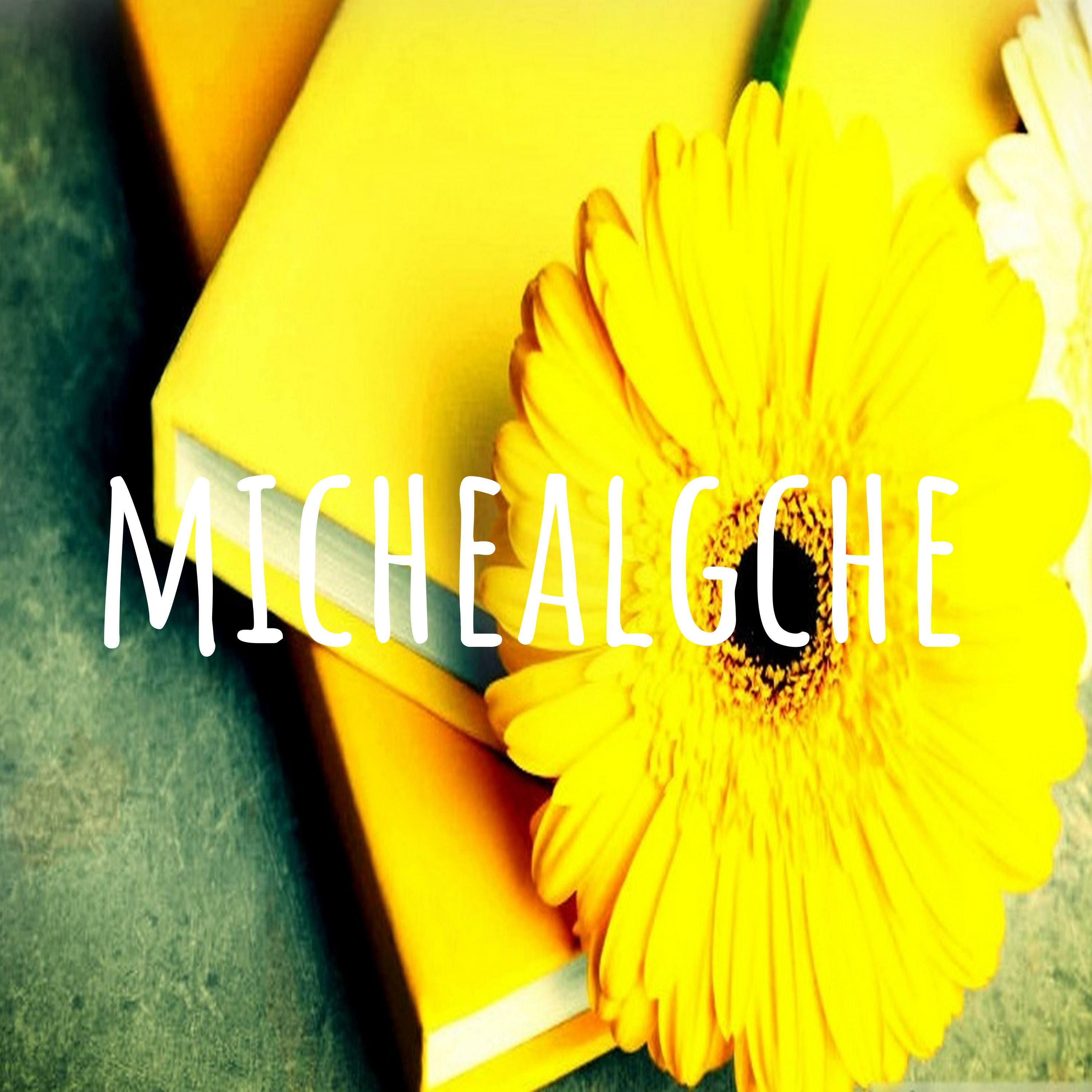 michealgche michealgche