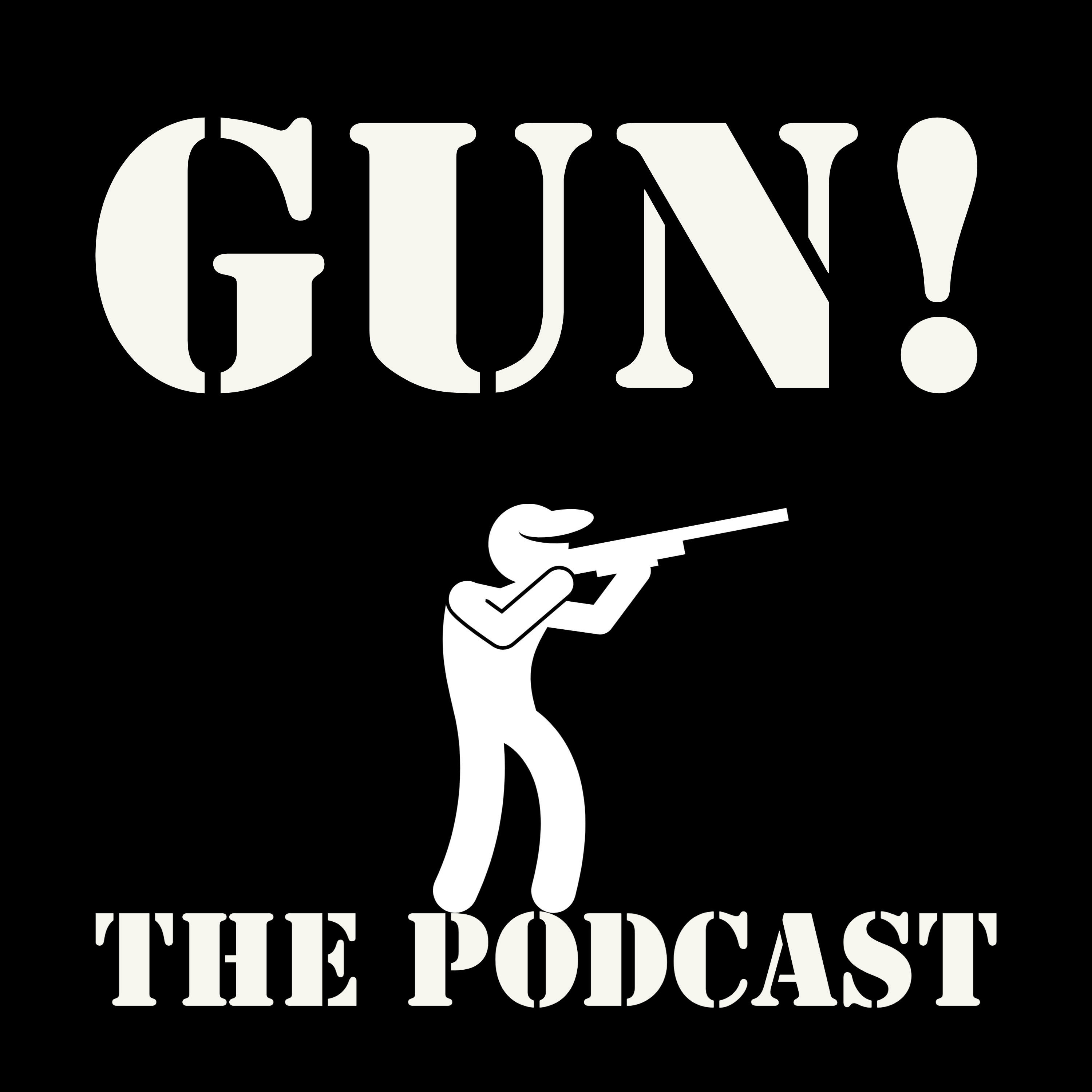 Gun