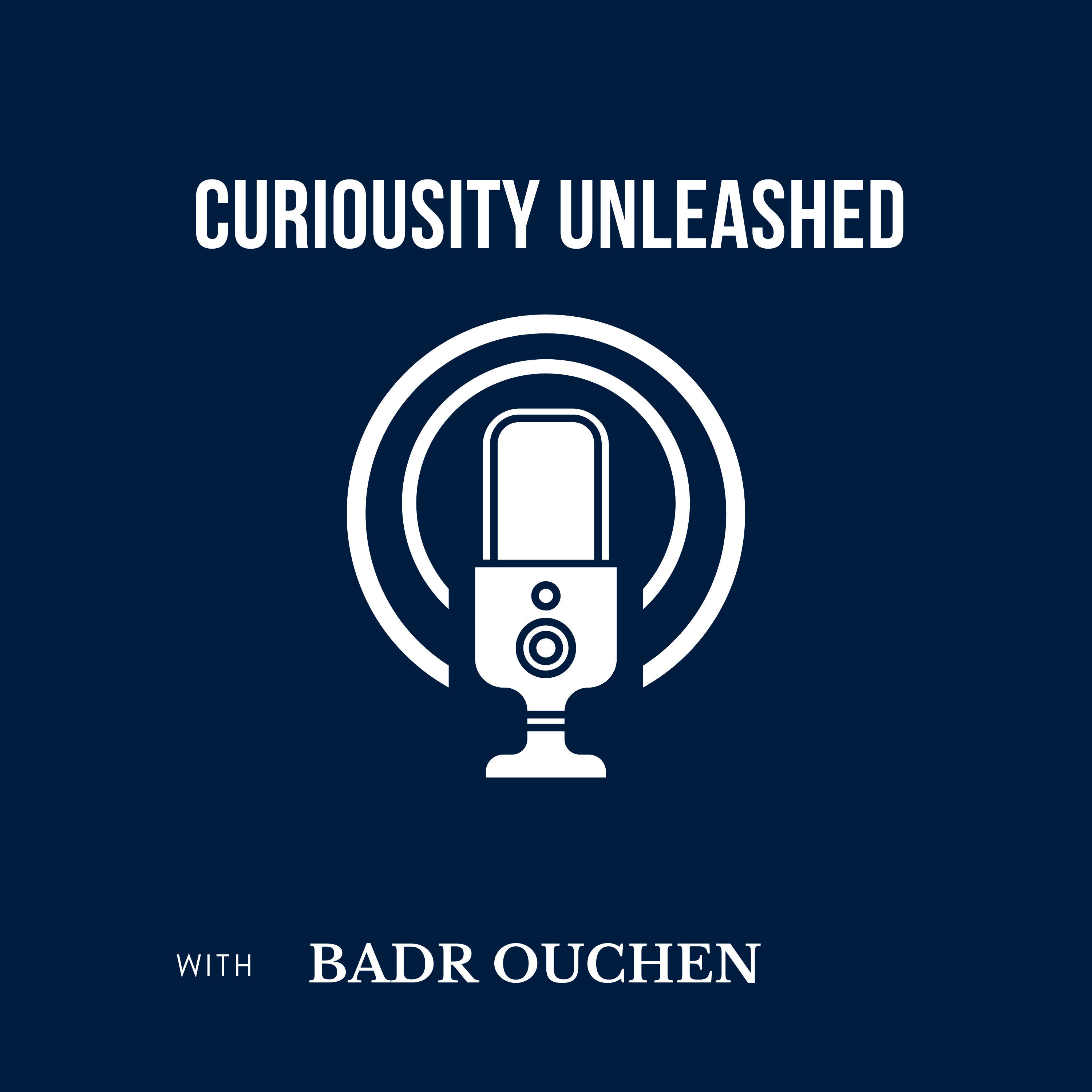 Curiosity Unleashed