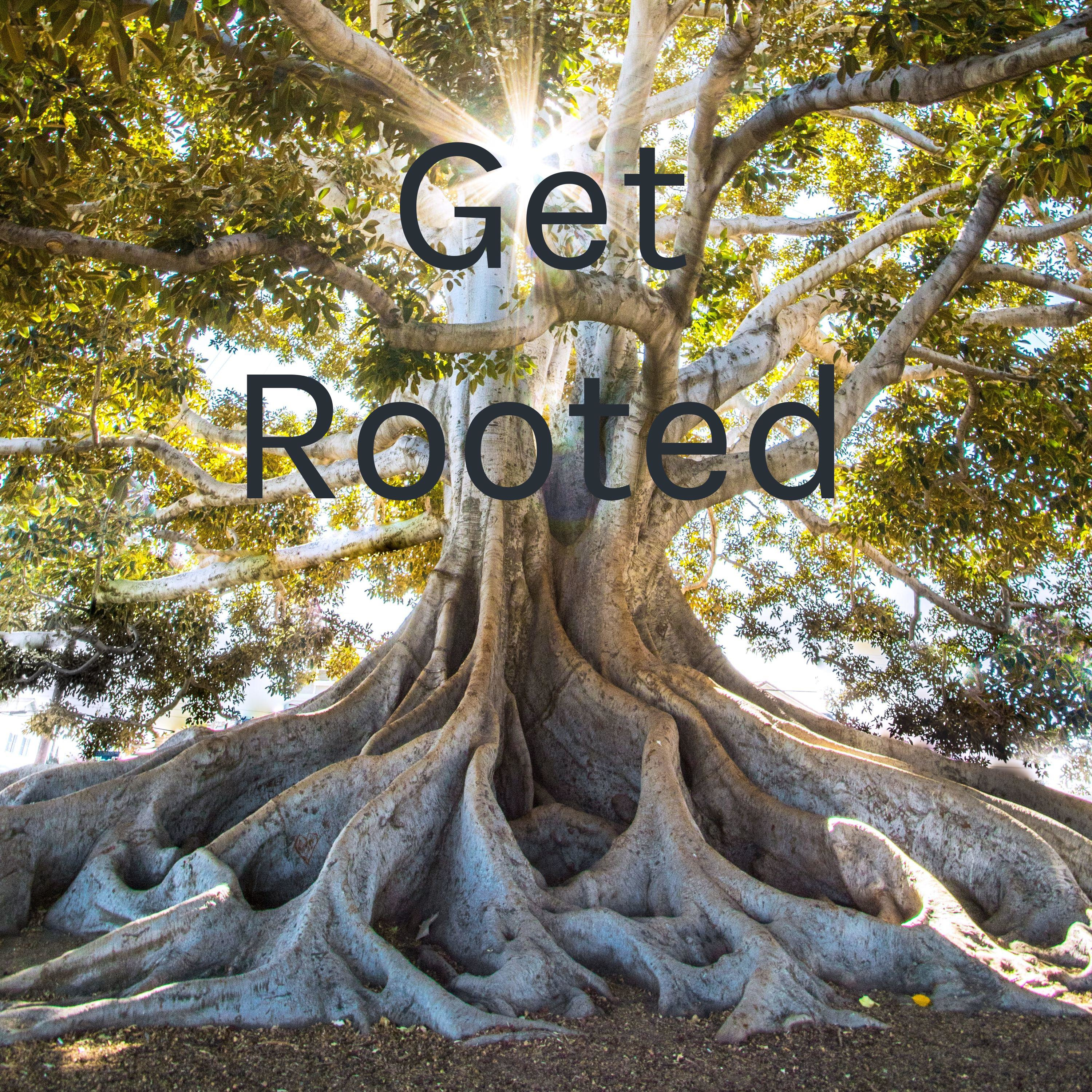 Get Rooted