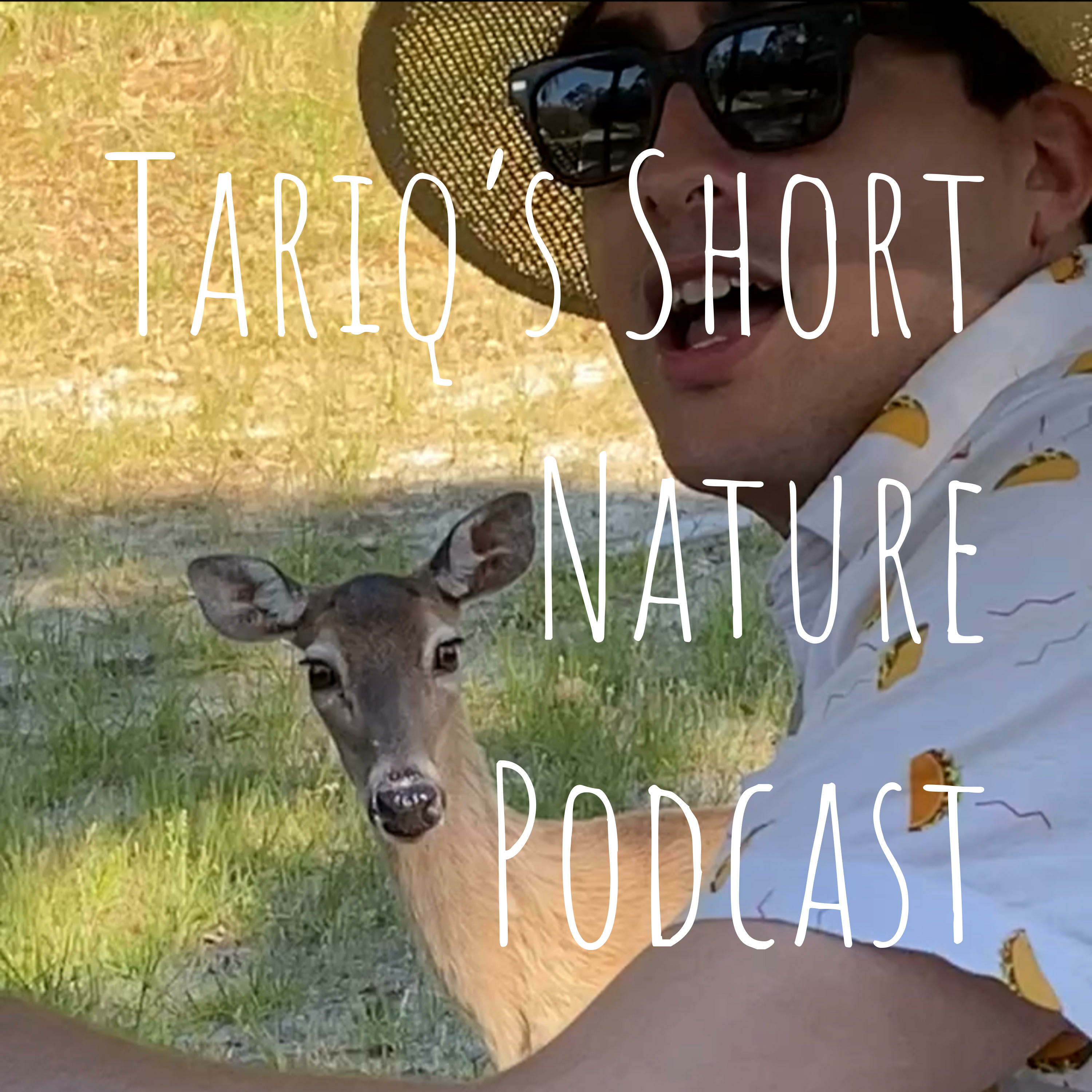 Tariq's Short Nature Podcast podcast artwork