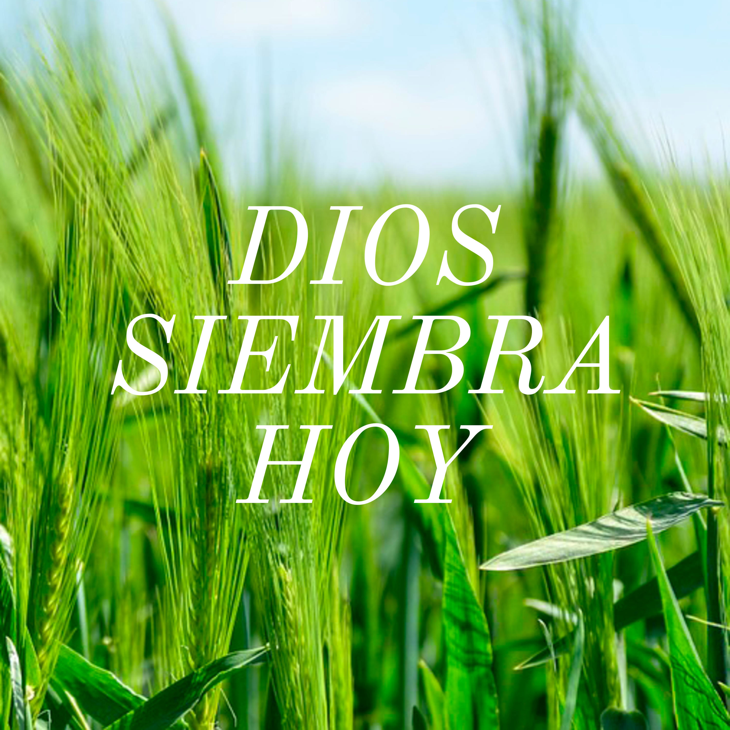 Pbro. Sebastián Frias Hdez.