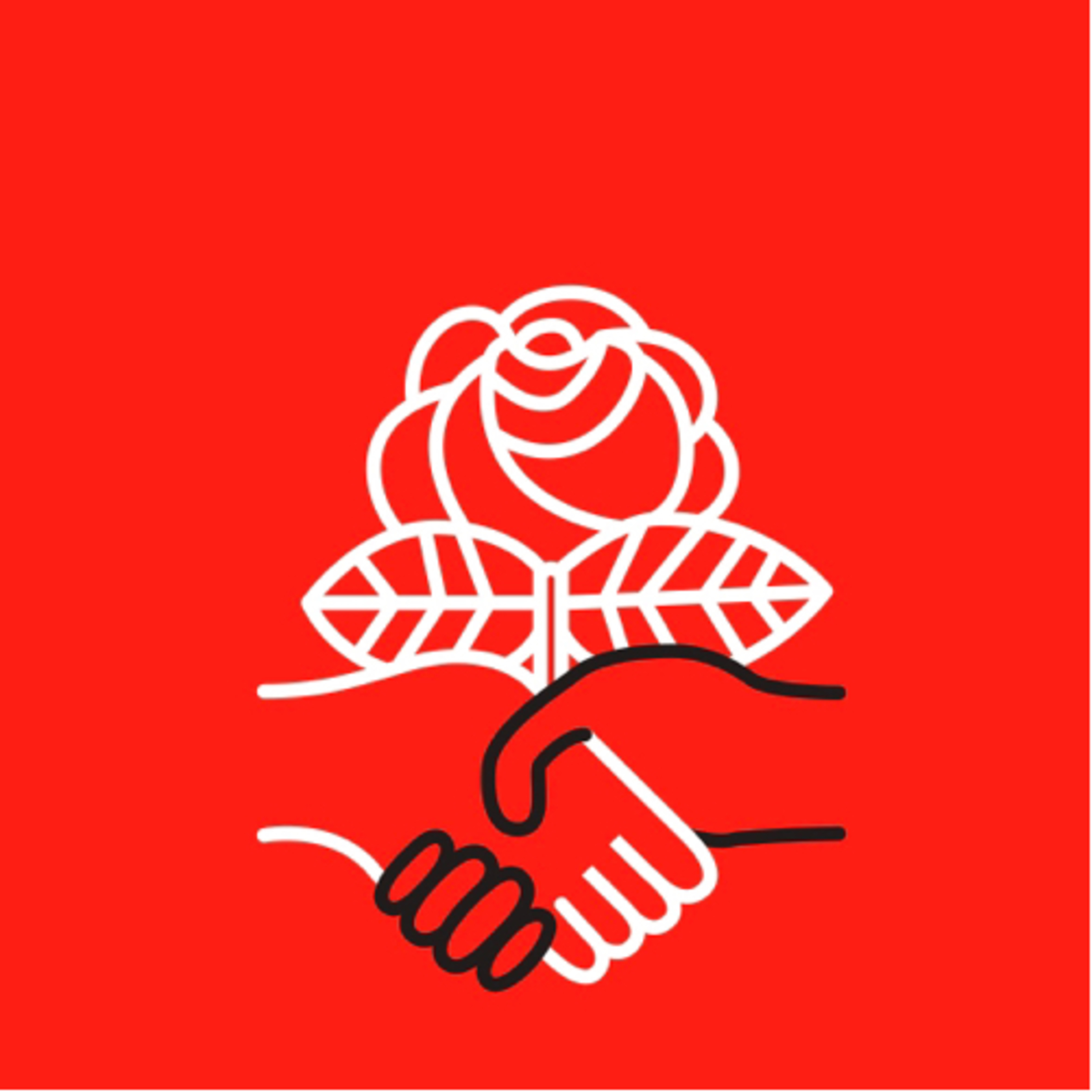 Secrets of a Successful Organizer