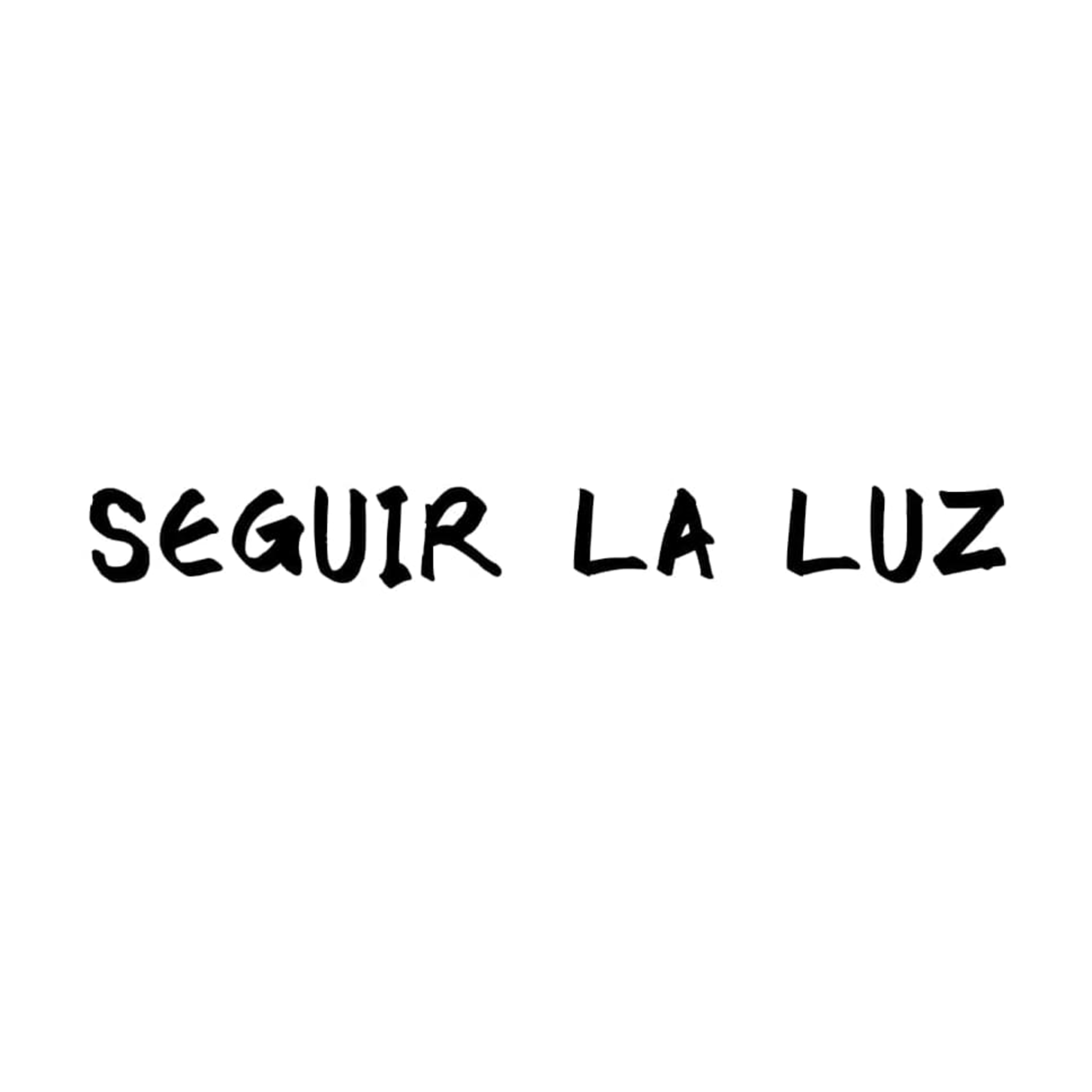 SEGUIR LA LUZ
