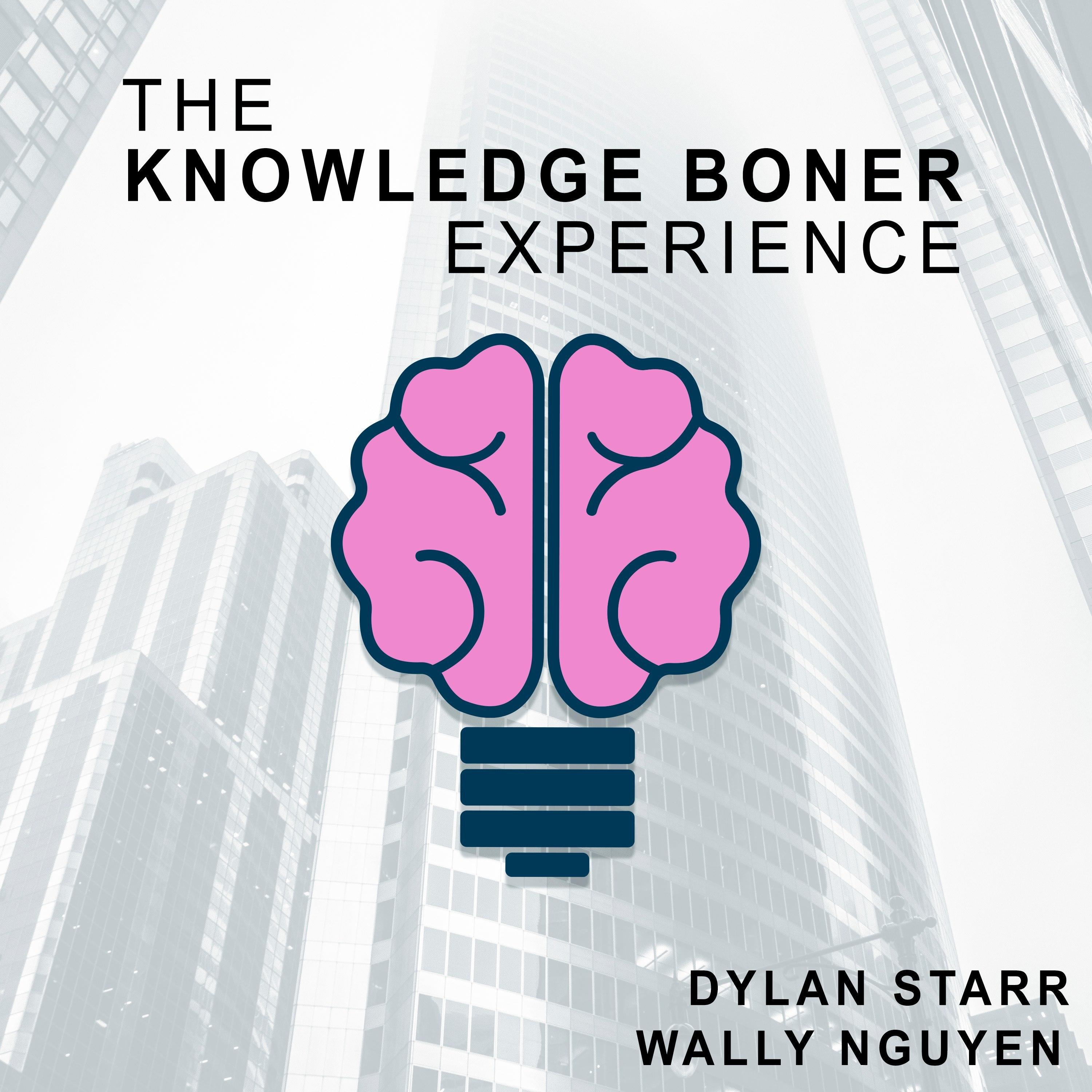 Knowledge Boner Experience