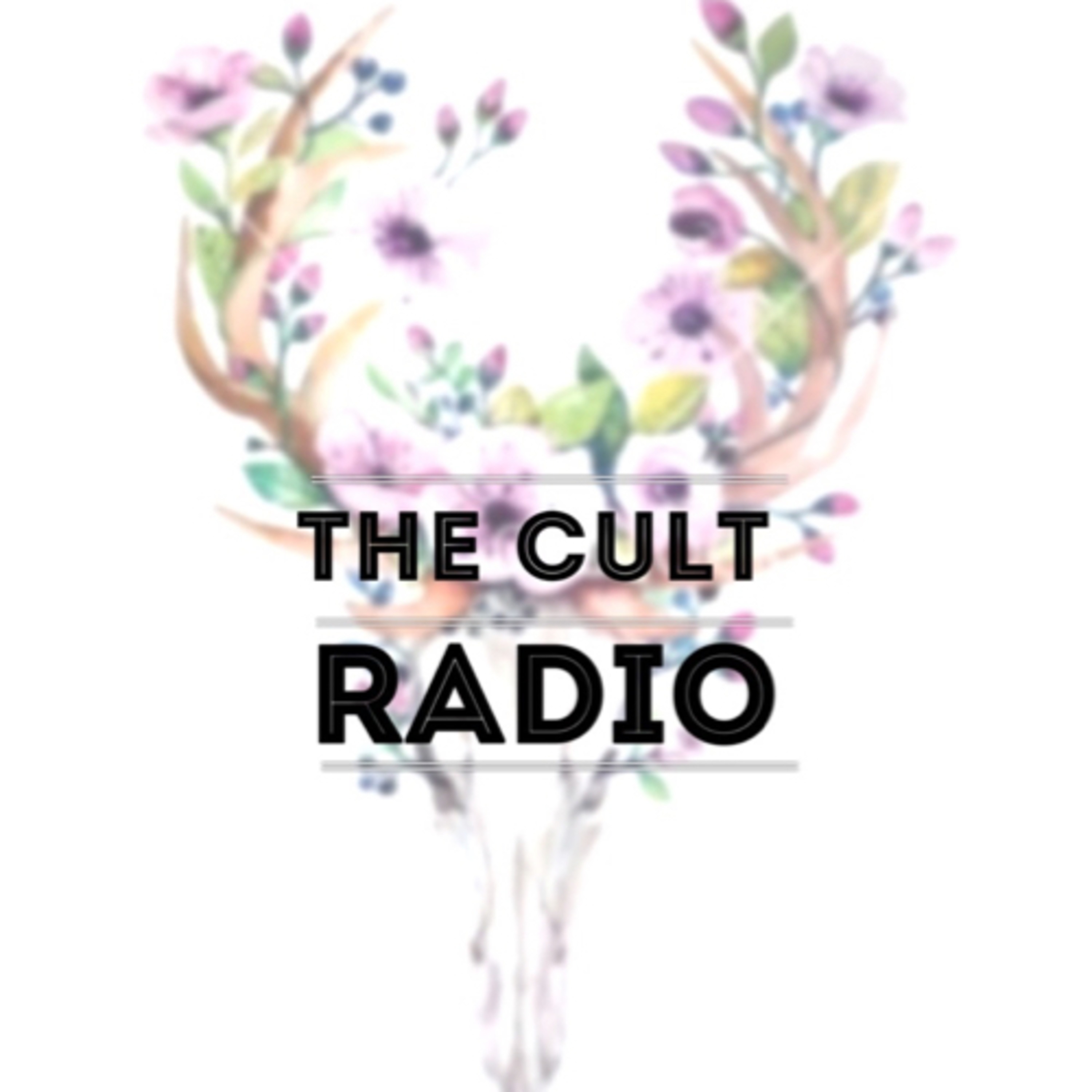 The Traveling Guru Rob: Episode #005