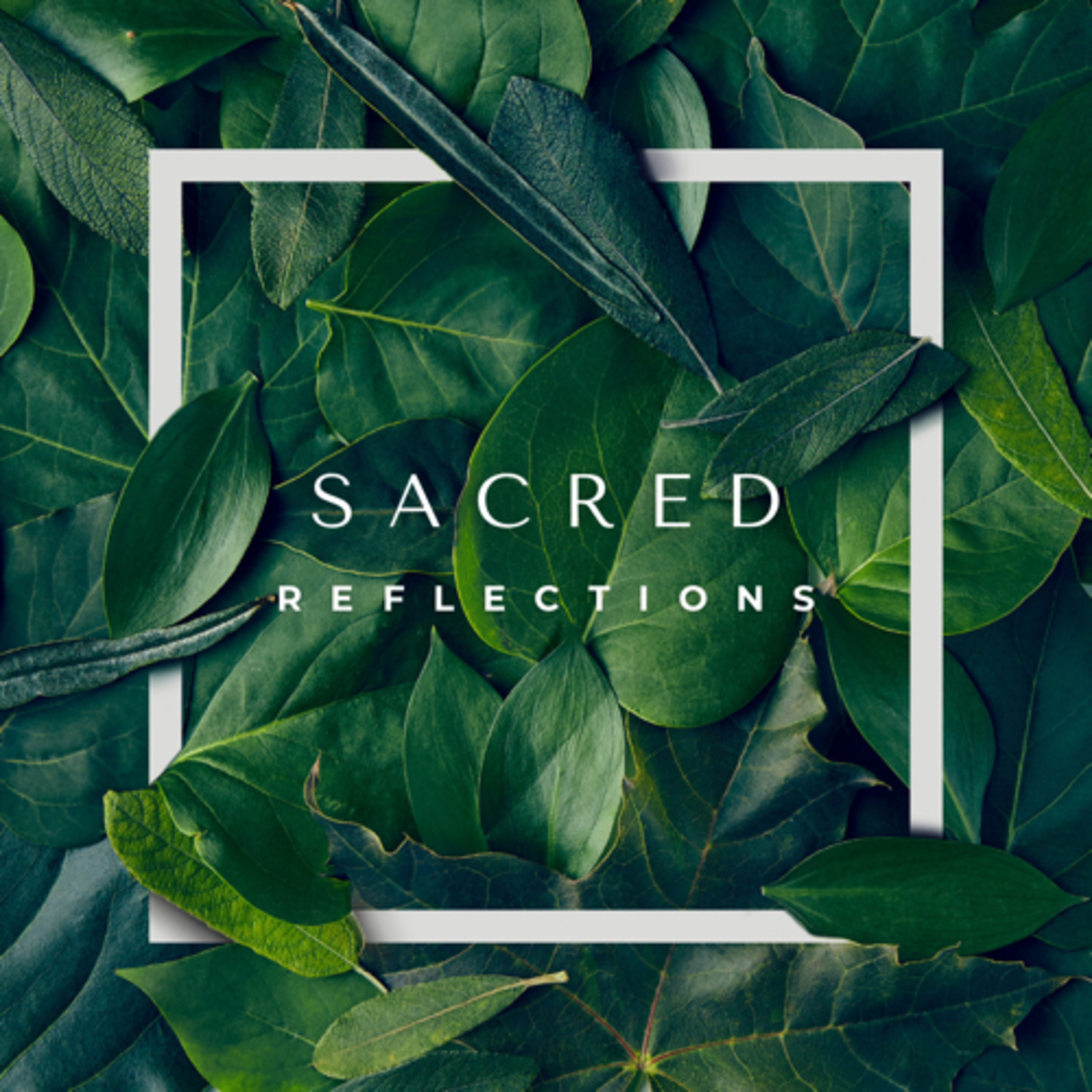 Sacred Reflections