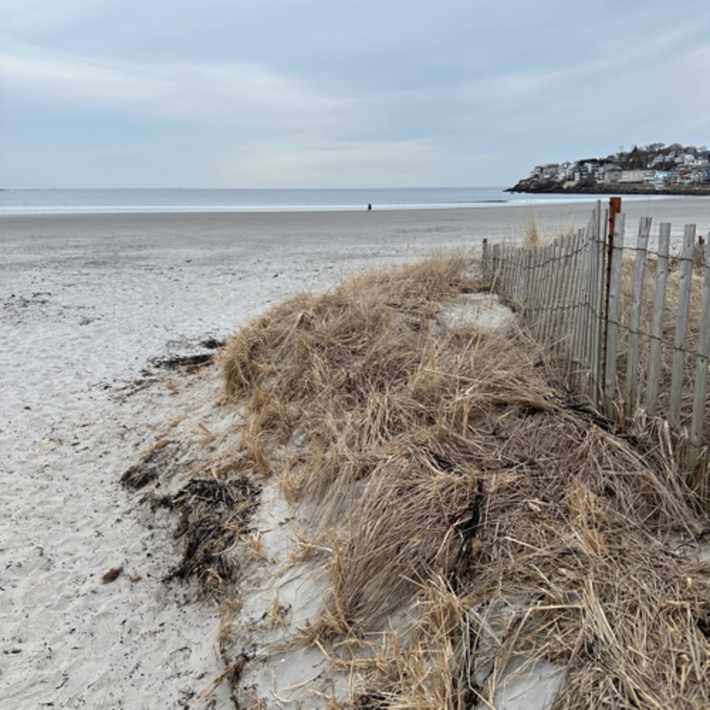 Stories, Stories Everywhere cover art