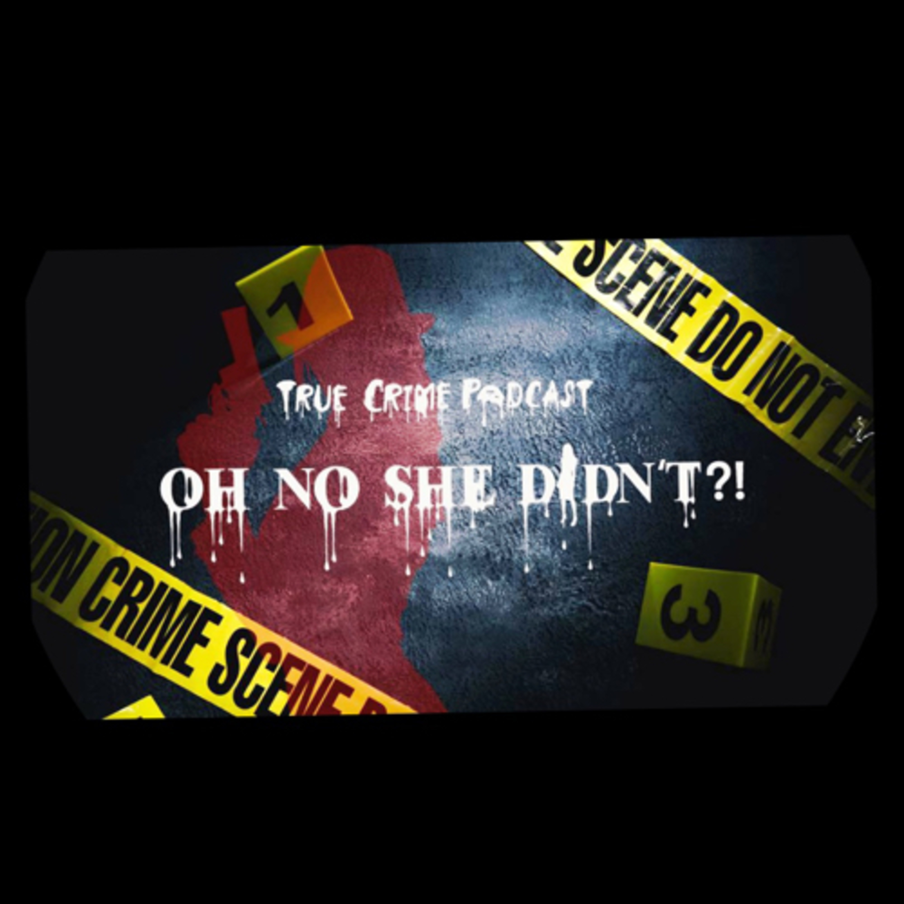 Oh No She Didn’t!! cover art