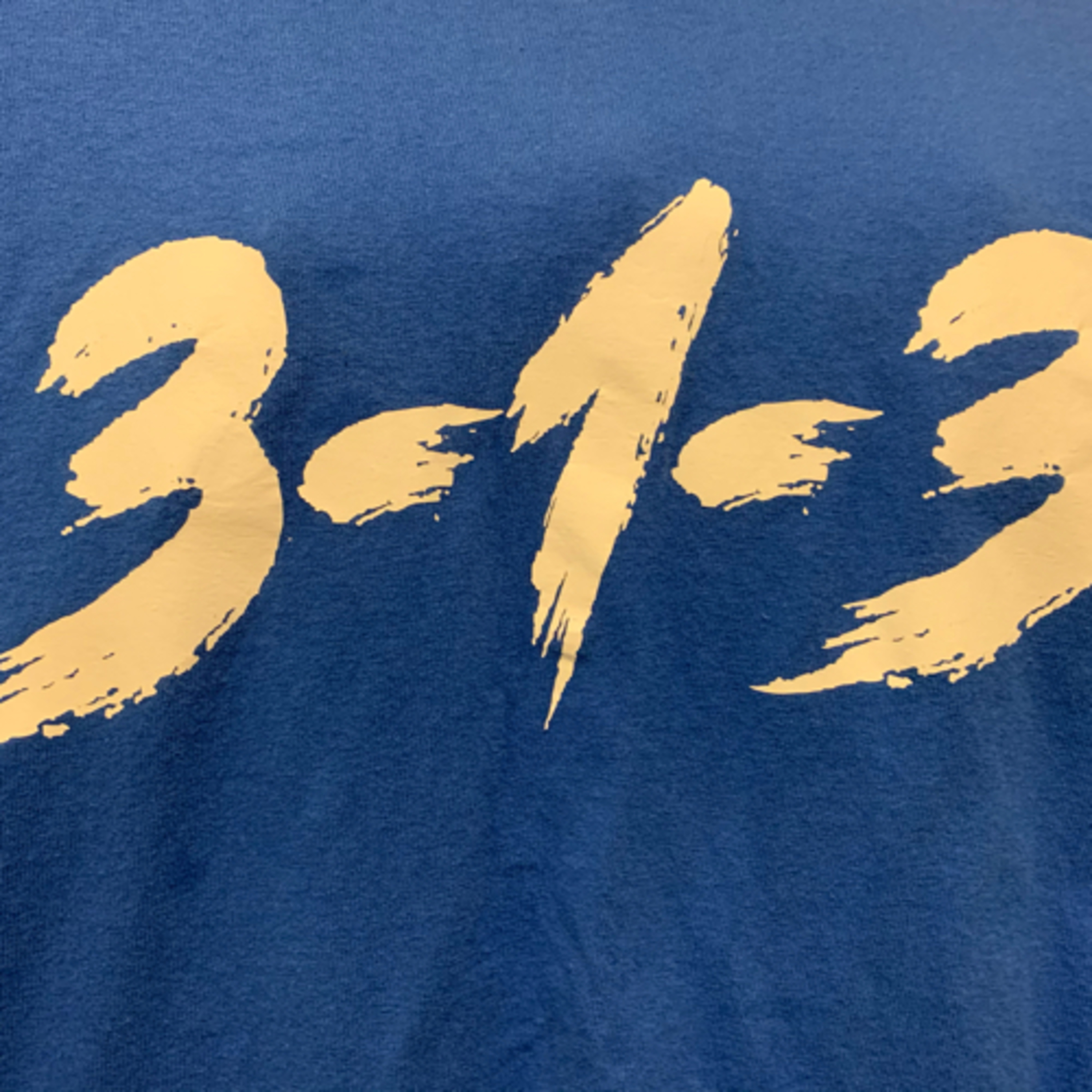 The 3-1-3
