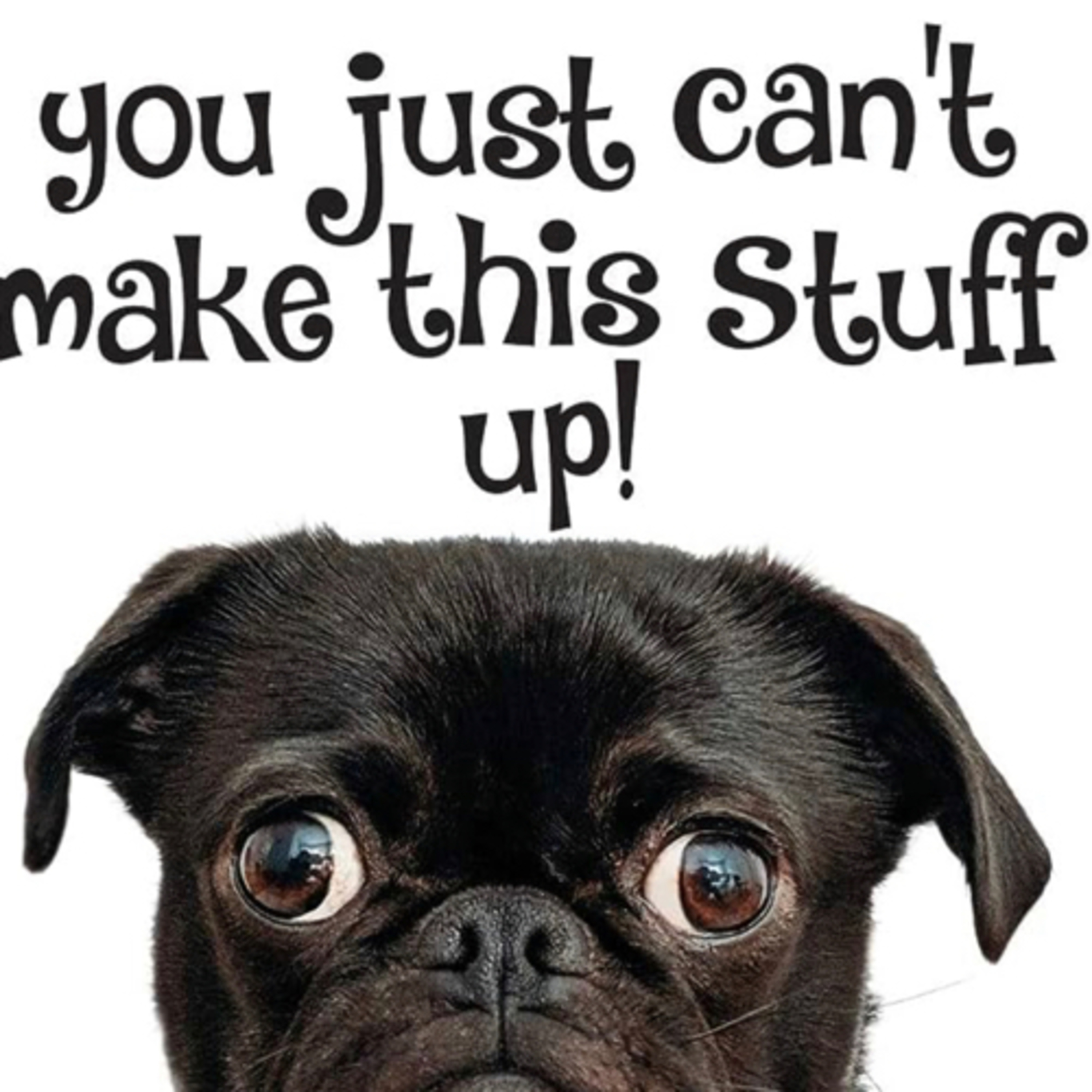 I can’t make this up podcast artwork