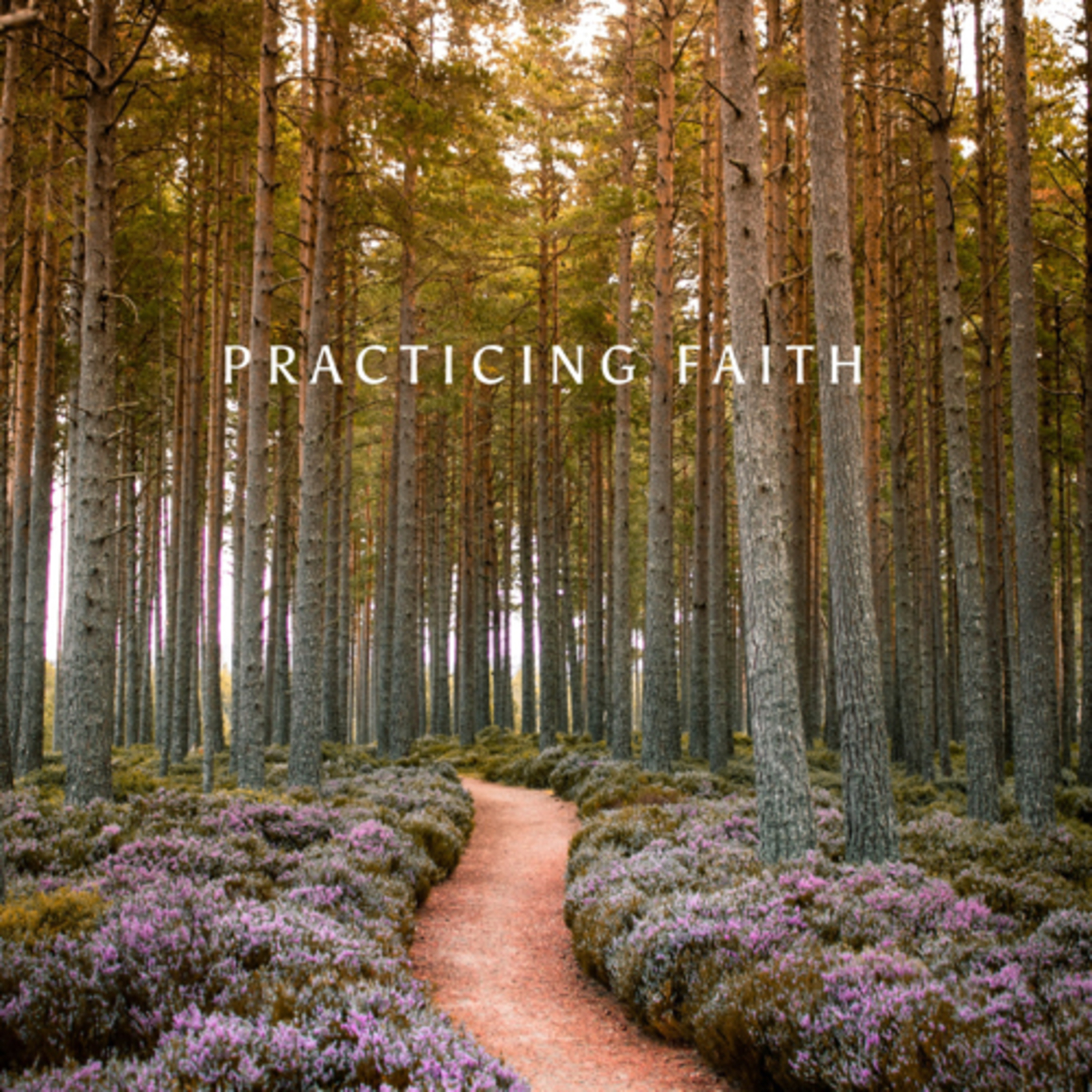 Practicing Faith