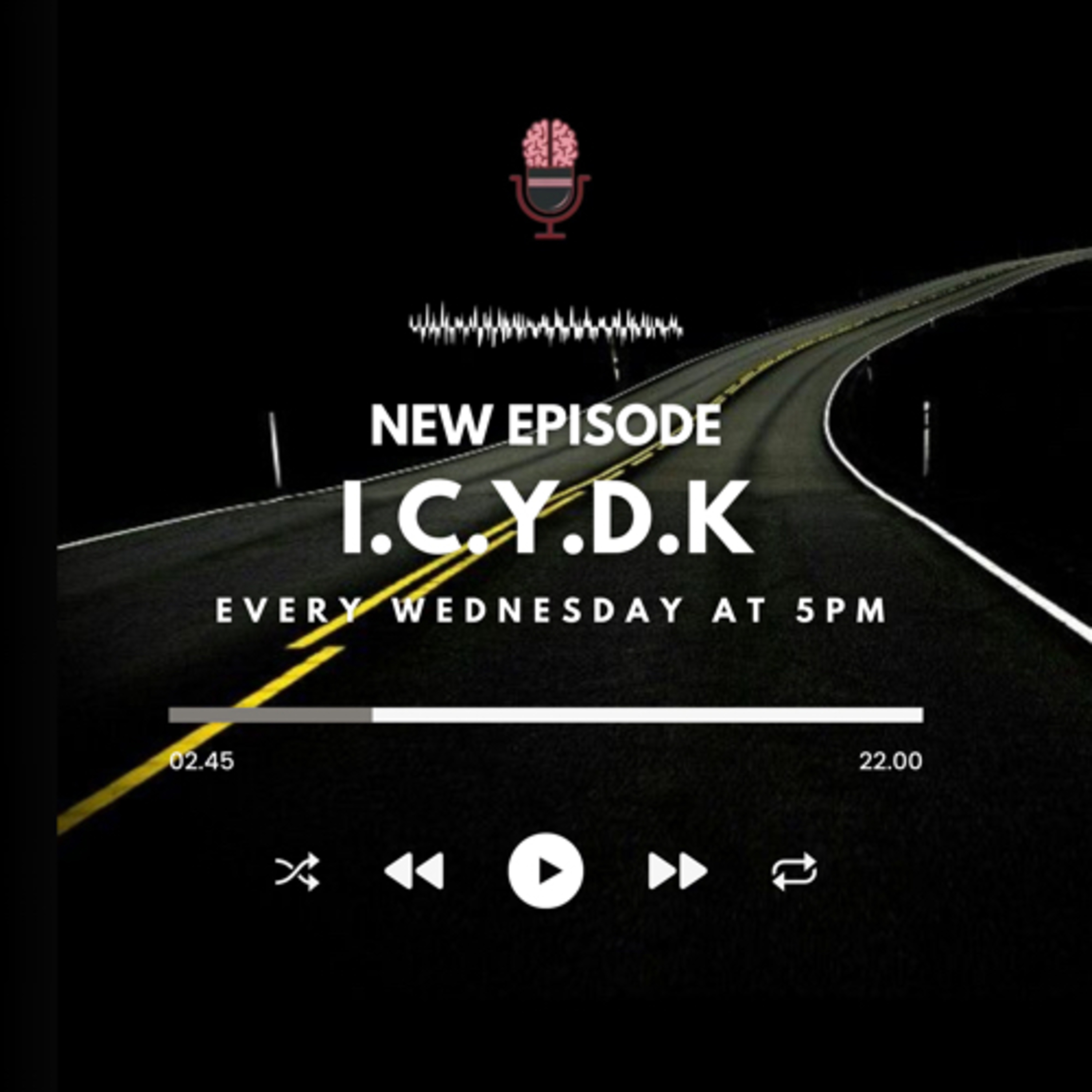 In Case You Didn’t Know podcast artwork