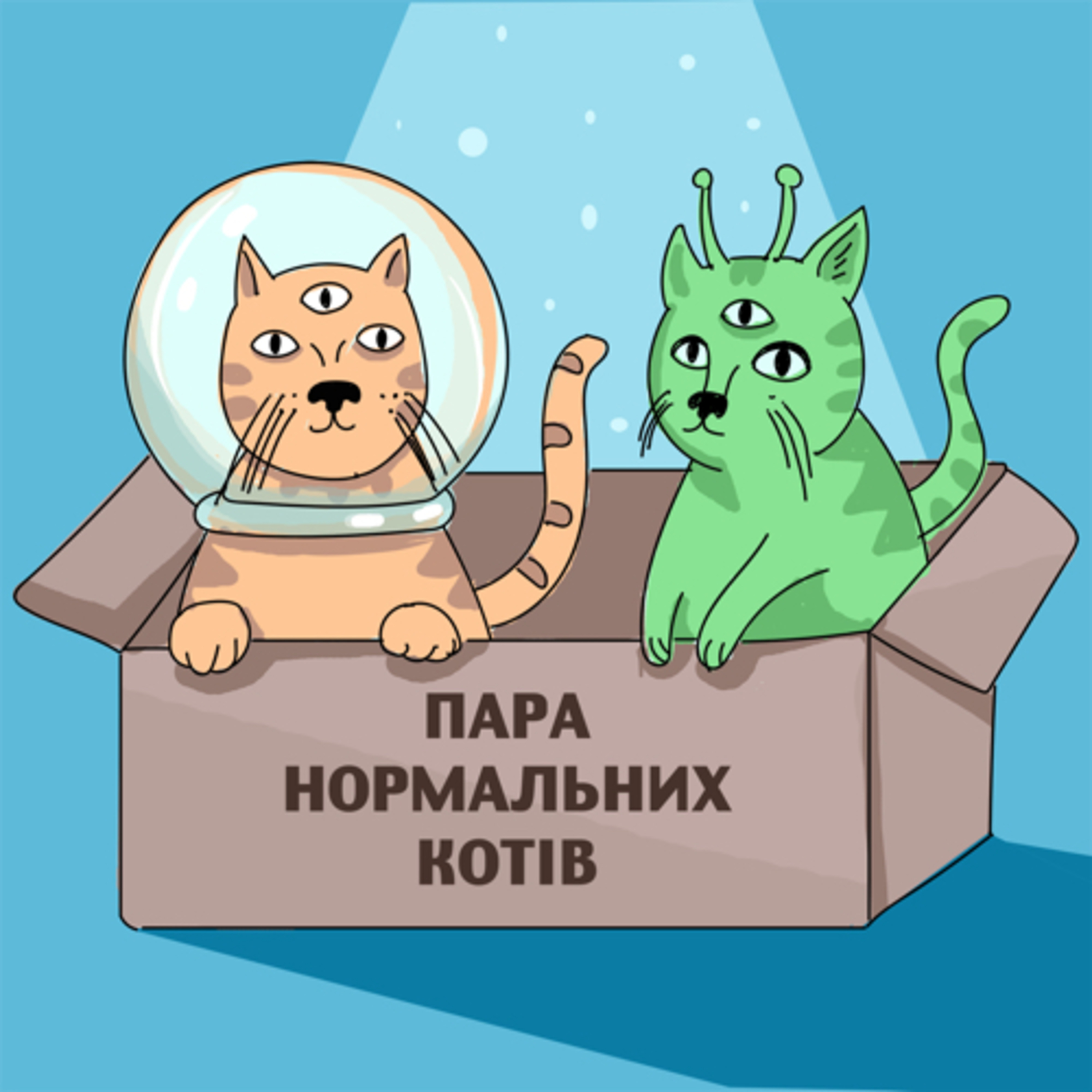 Пара нормальних котів 🐾