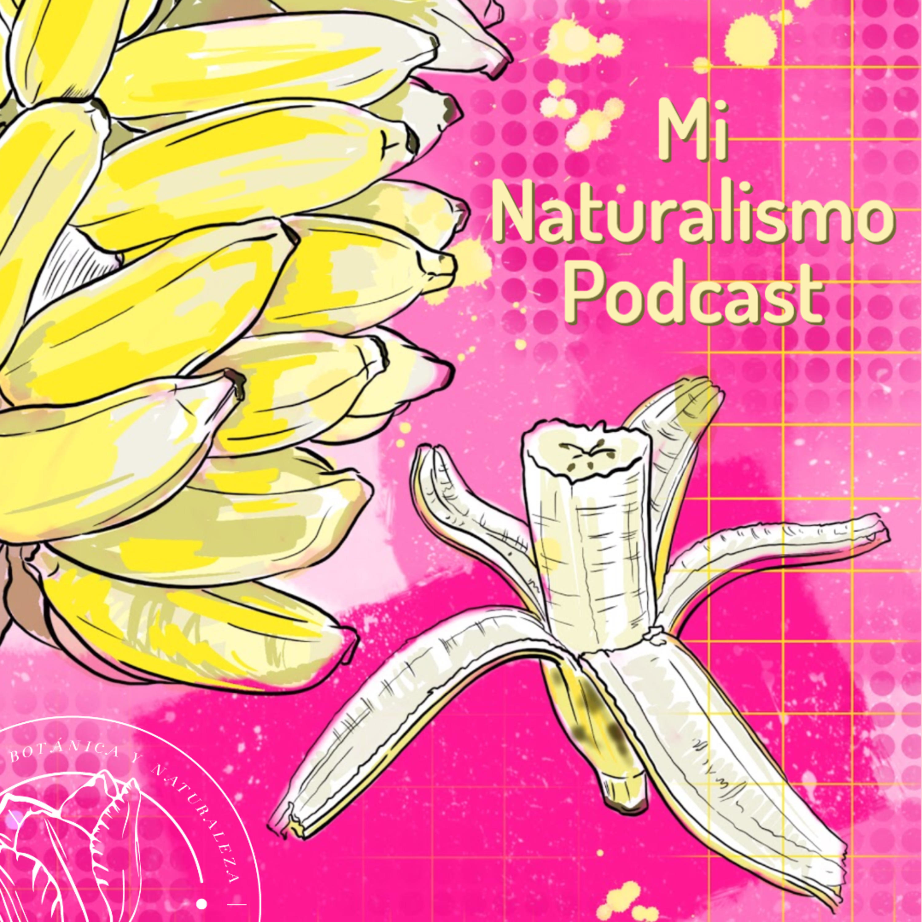 Mi Naturalismo Podcast