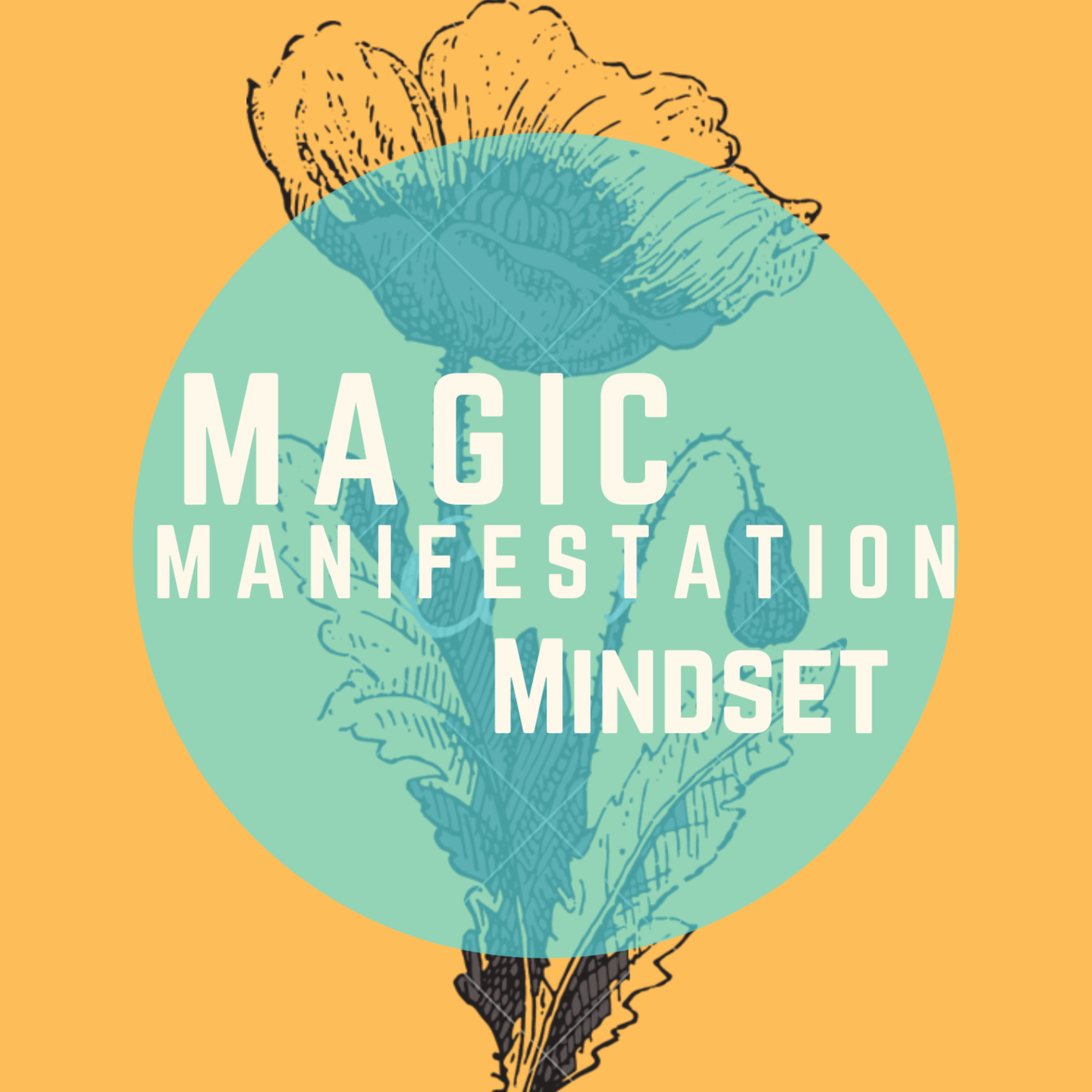 Magic Manifestation Mindset