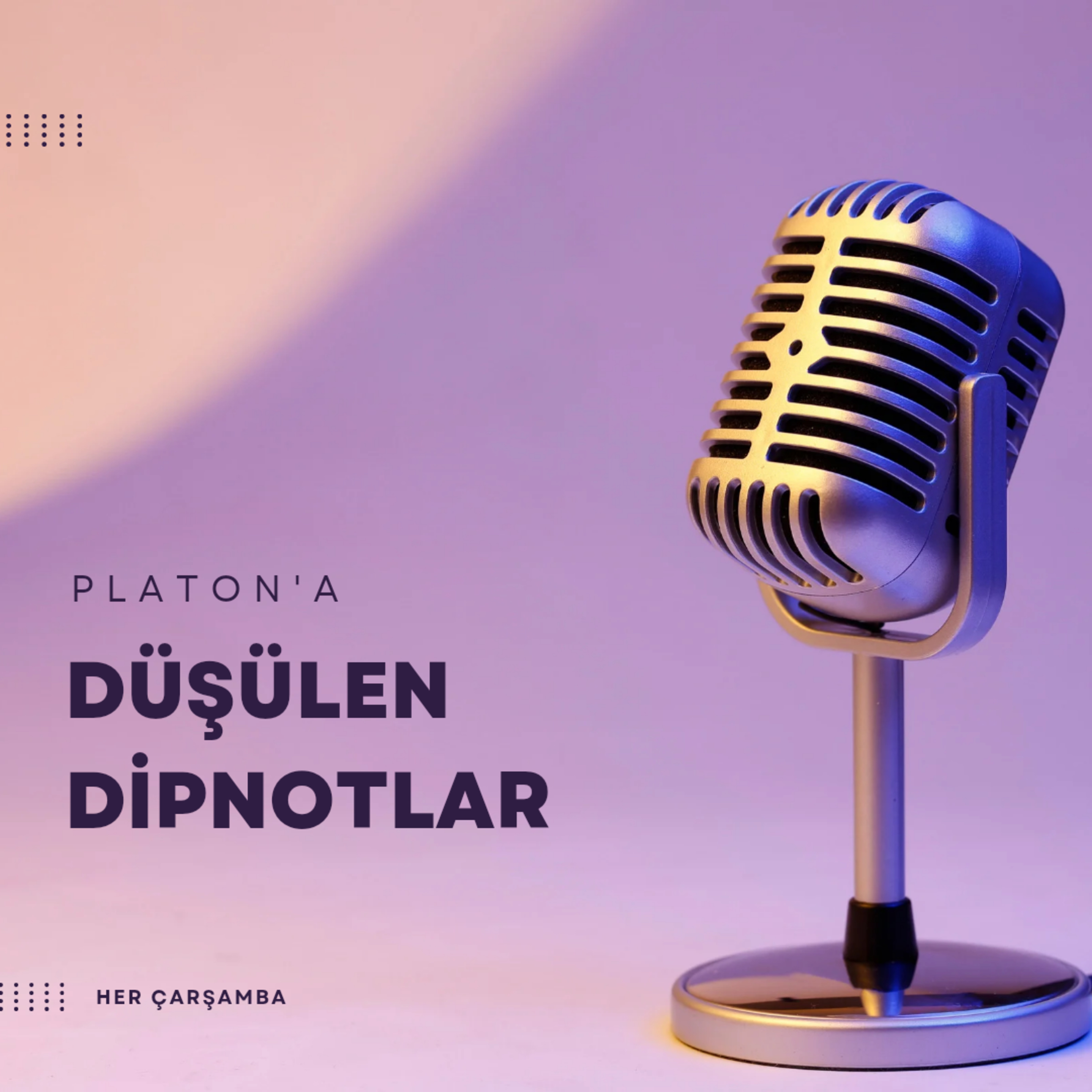 Platon\'a Düşülen Dipnotlar
