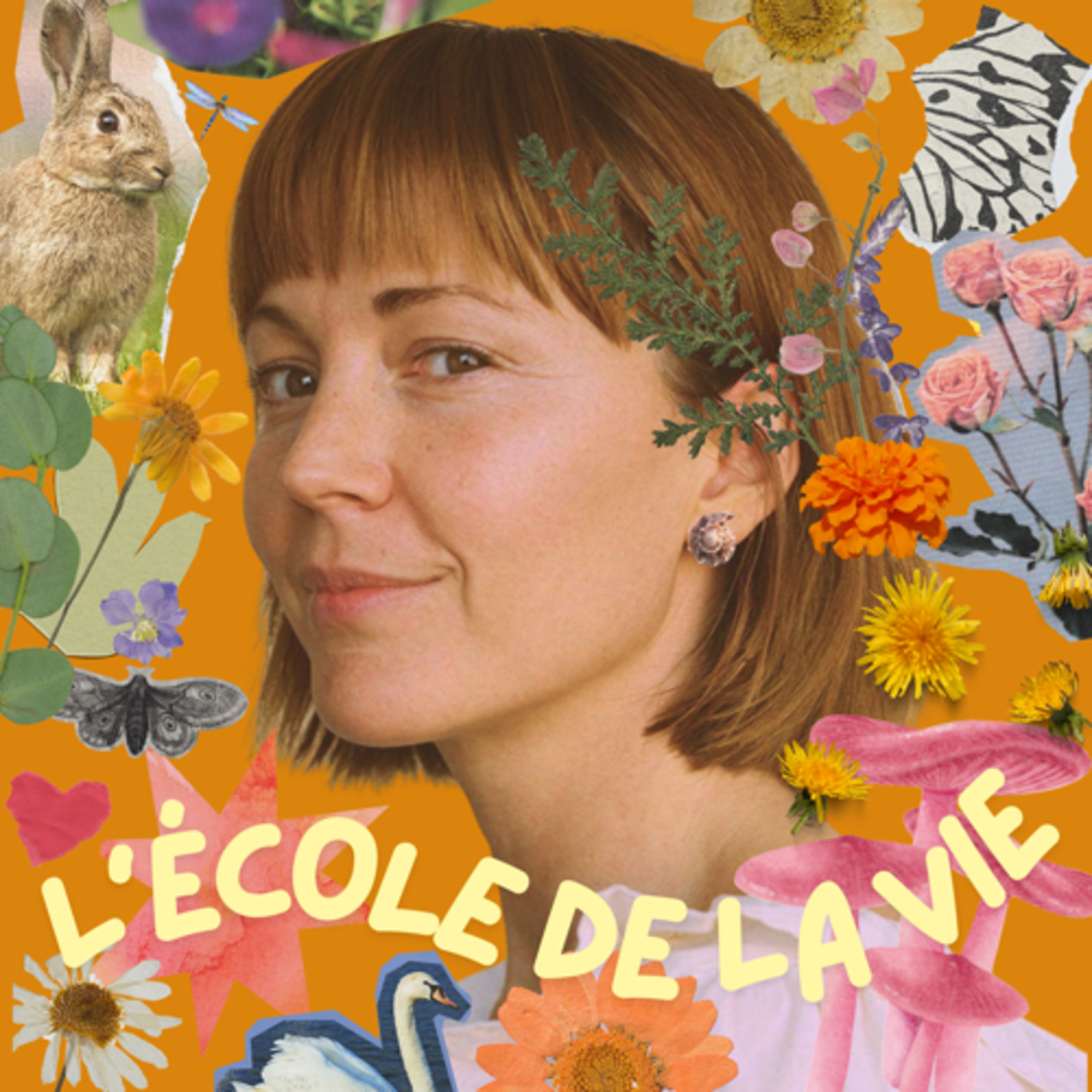 L\'école de la vie