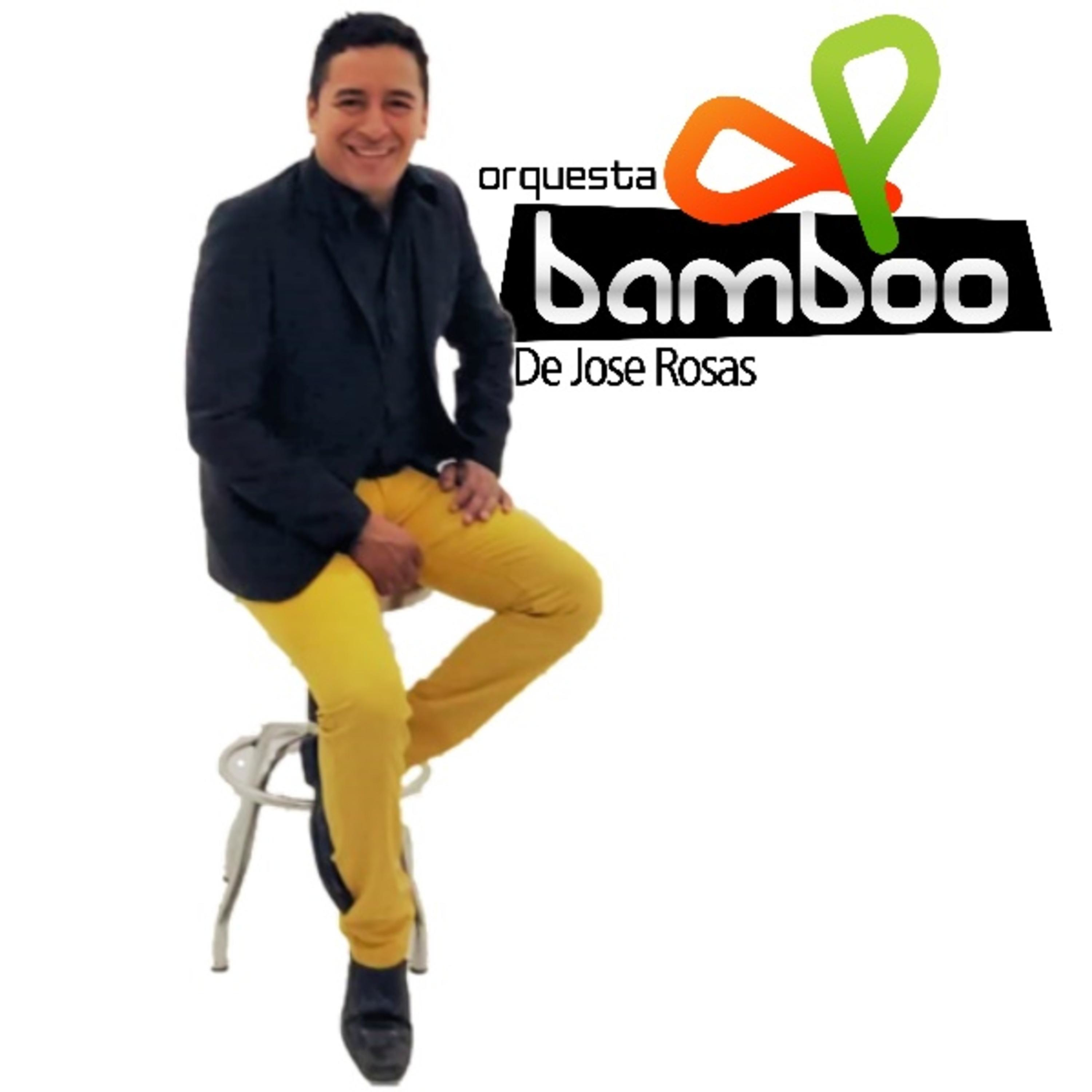 JOSE ALBERTO ROSAS TORRES: OPINIONES Y MUSICA