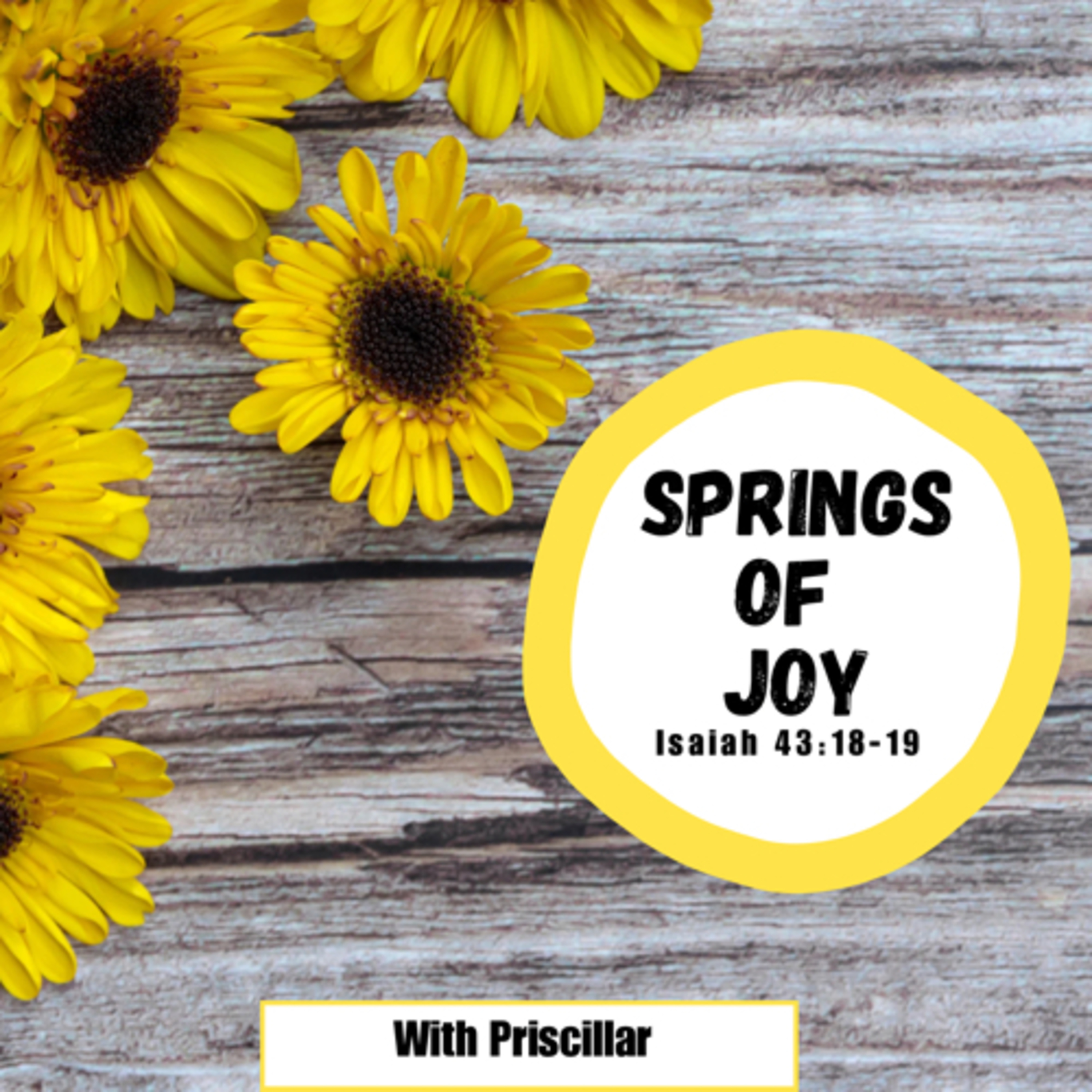 Springs of Joy