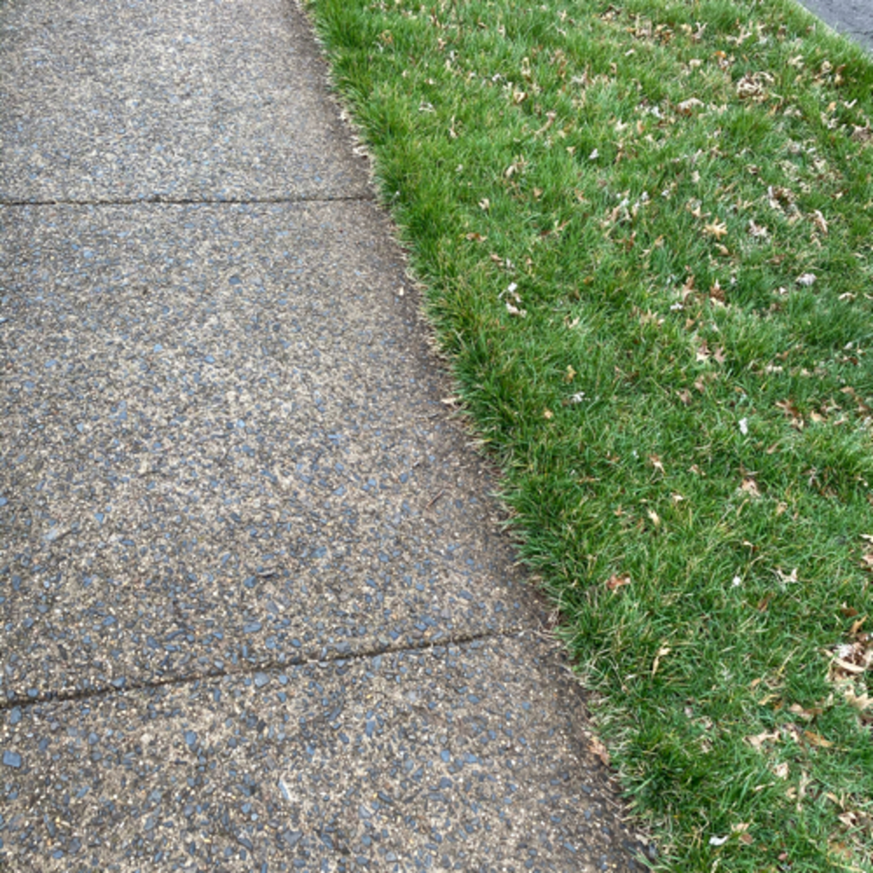 The Life Walk
