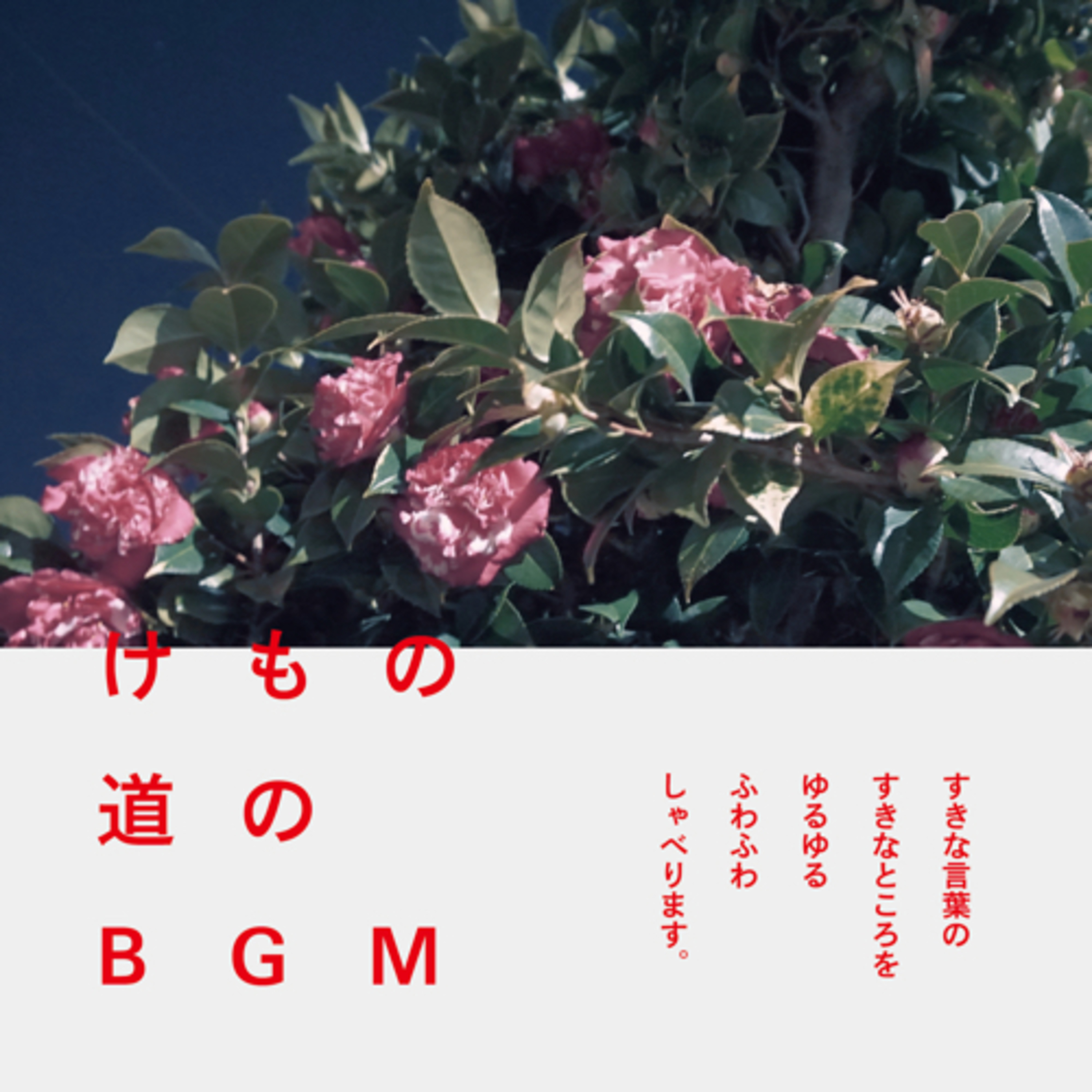 けもの道のBGM