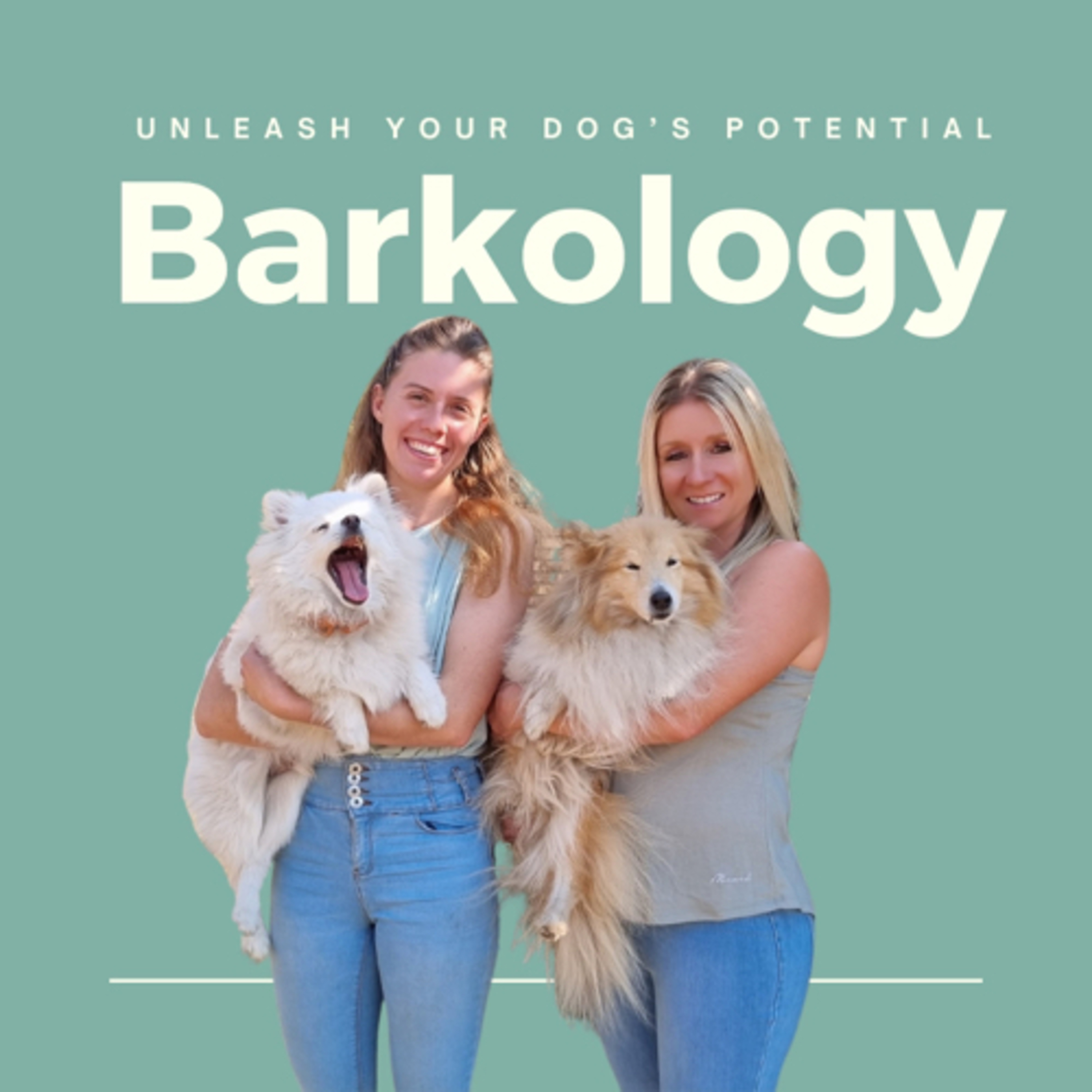 Barkology: Unleash your dog's potential
