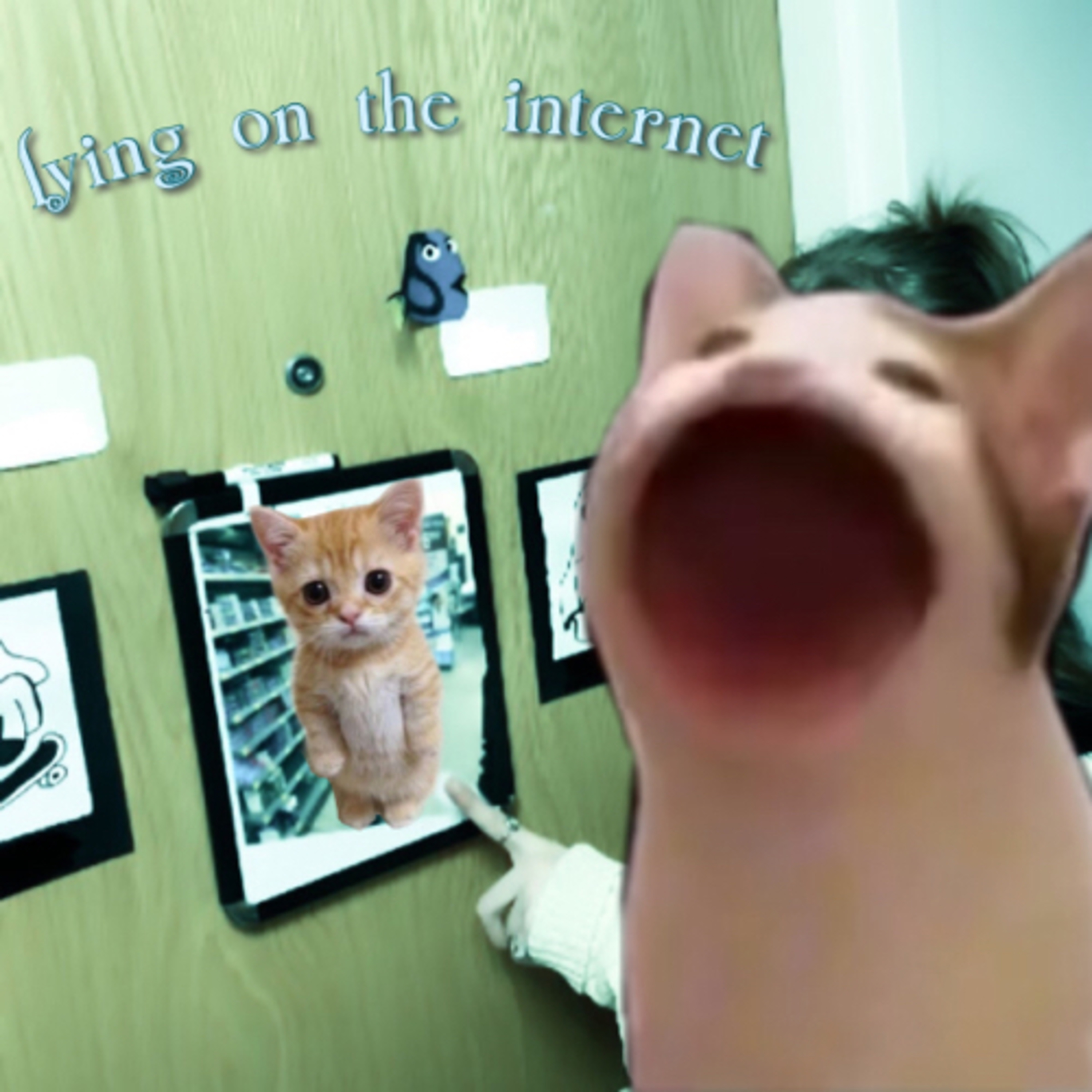 Lying on the Internet
