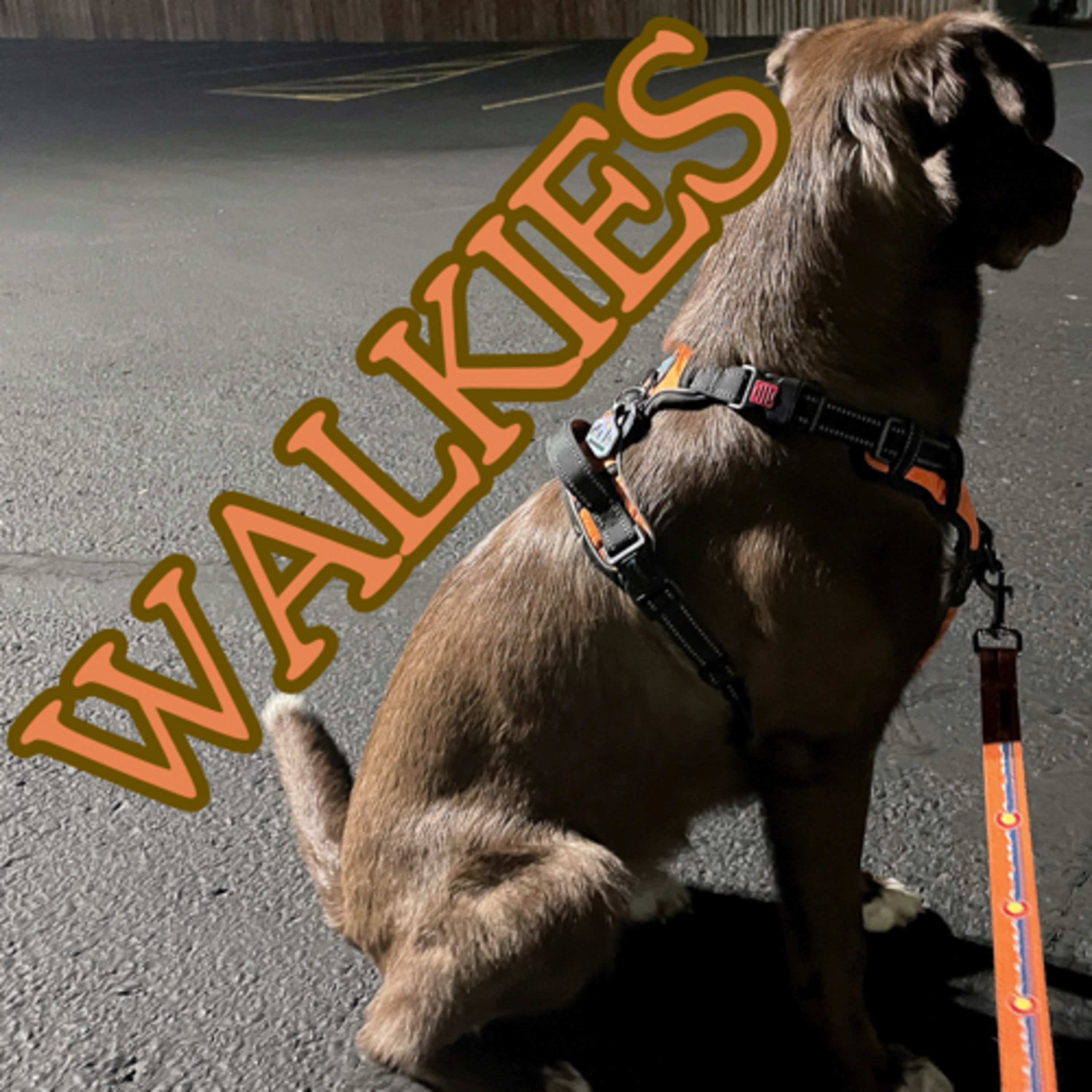 Walkies podcast artwork