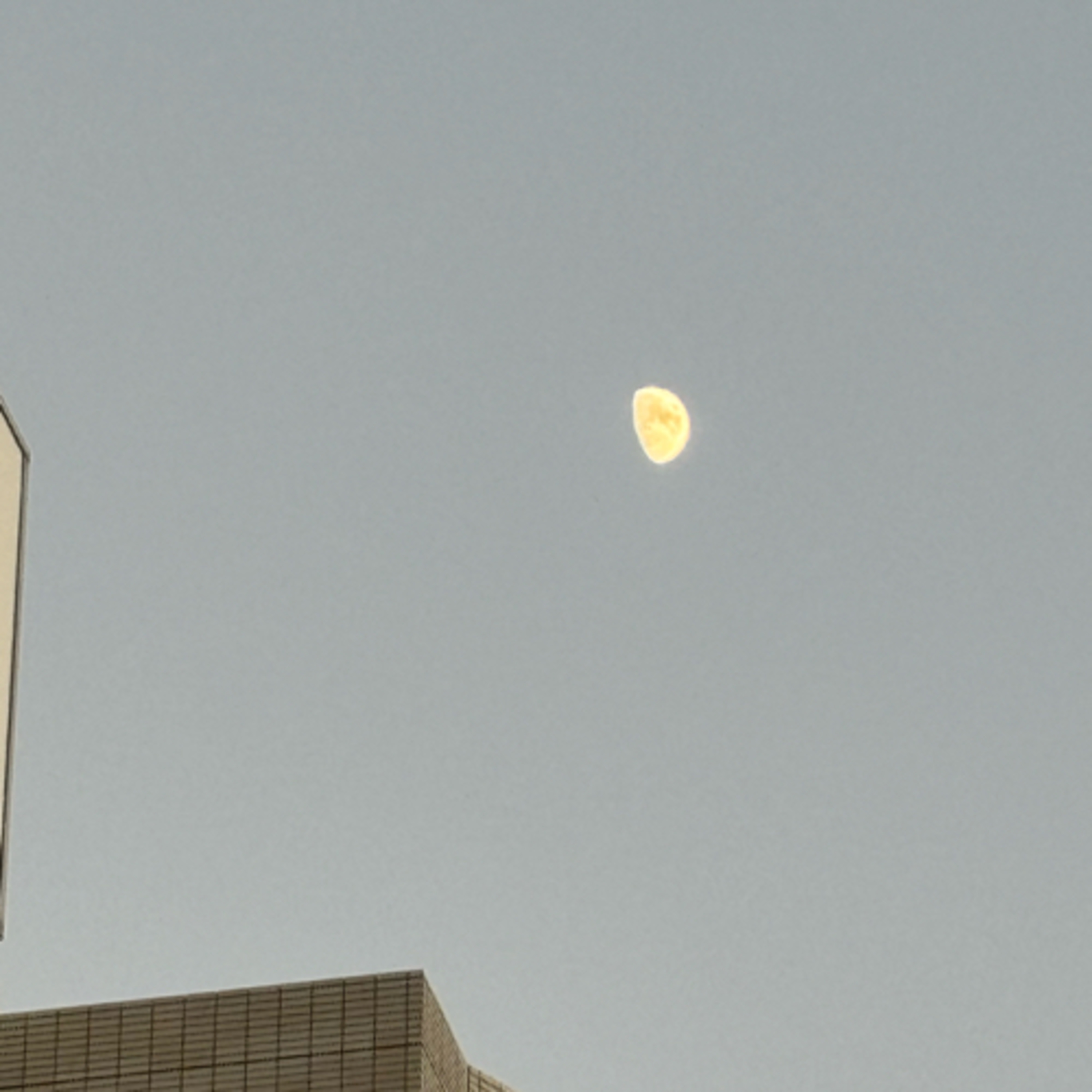 ふかふかおふとん𝑳𝑶𝑽𝑬書店