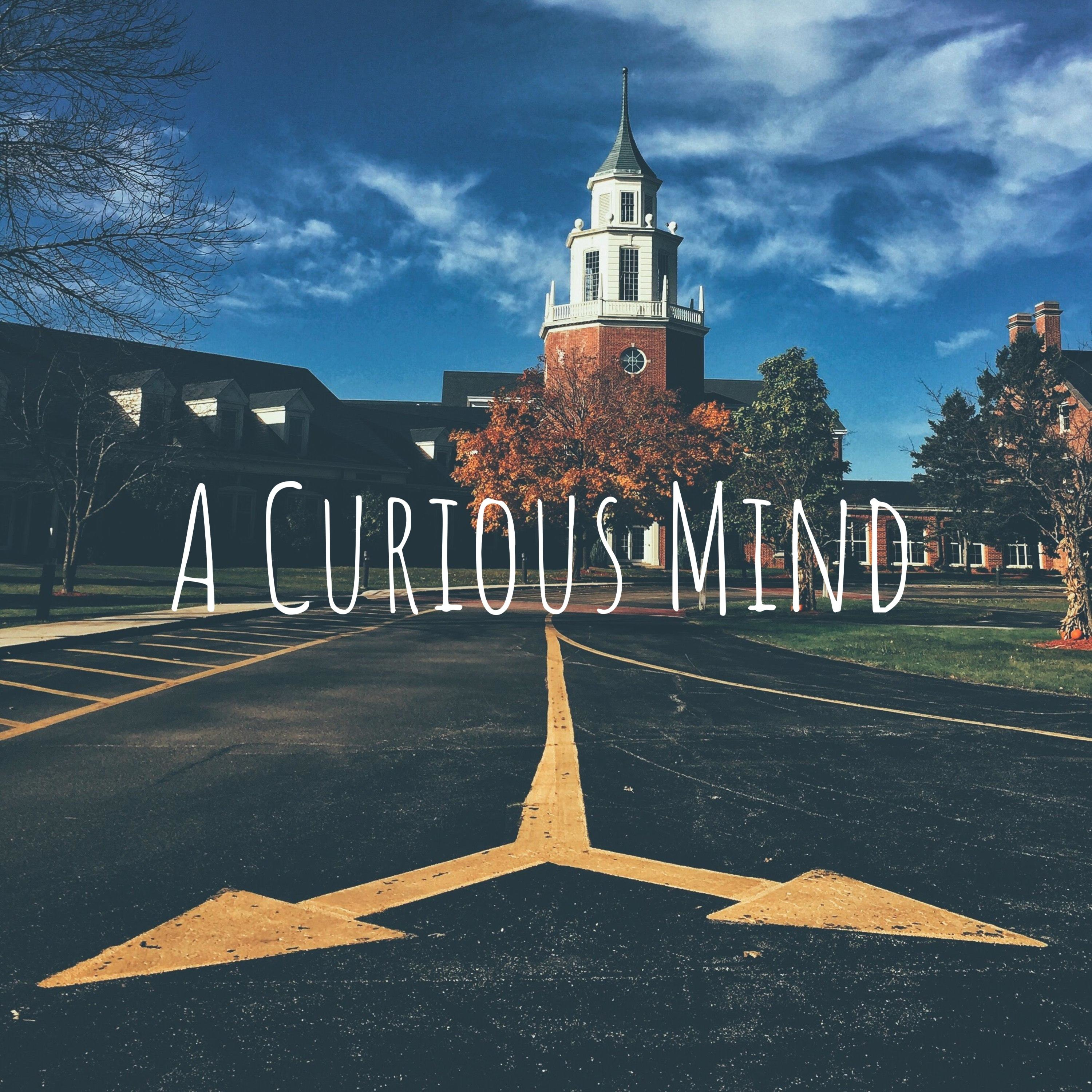 A Curious Mind