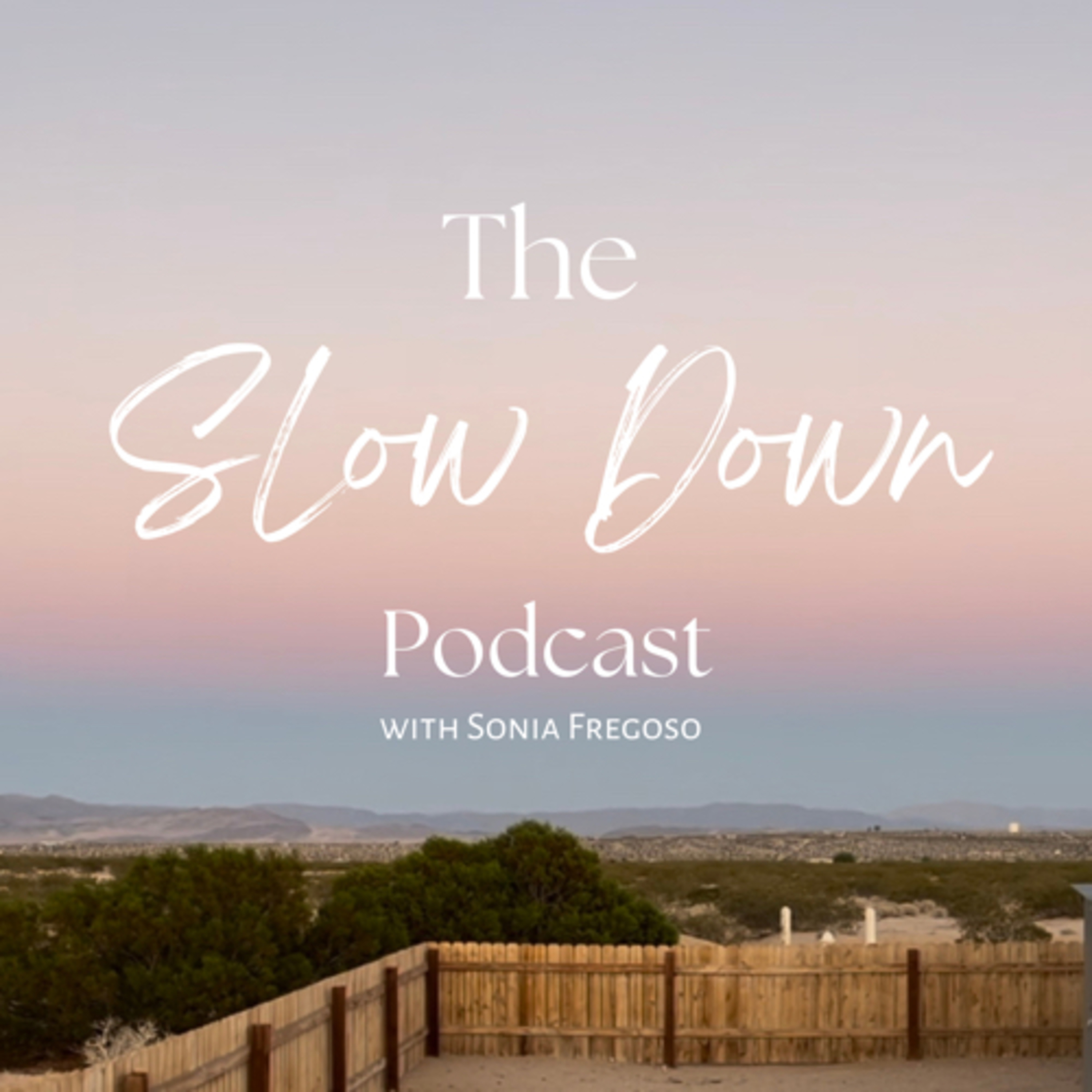 The Slow Down Podcast