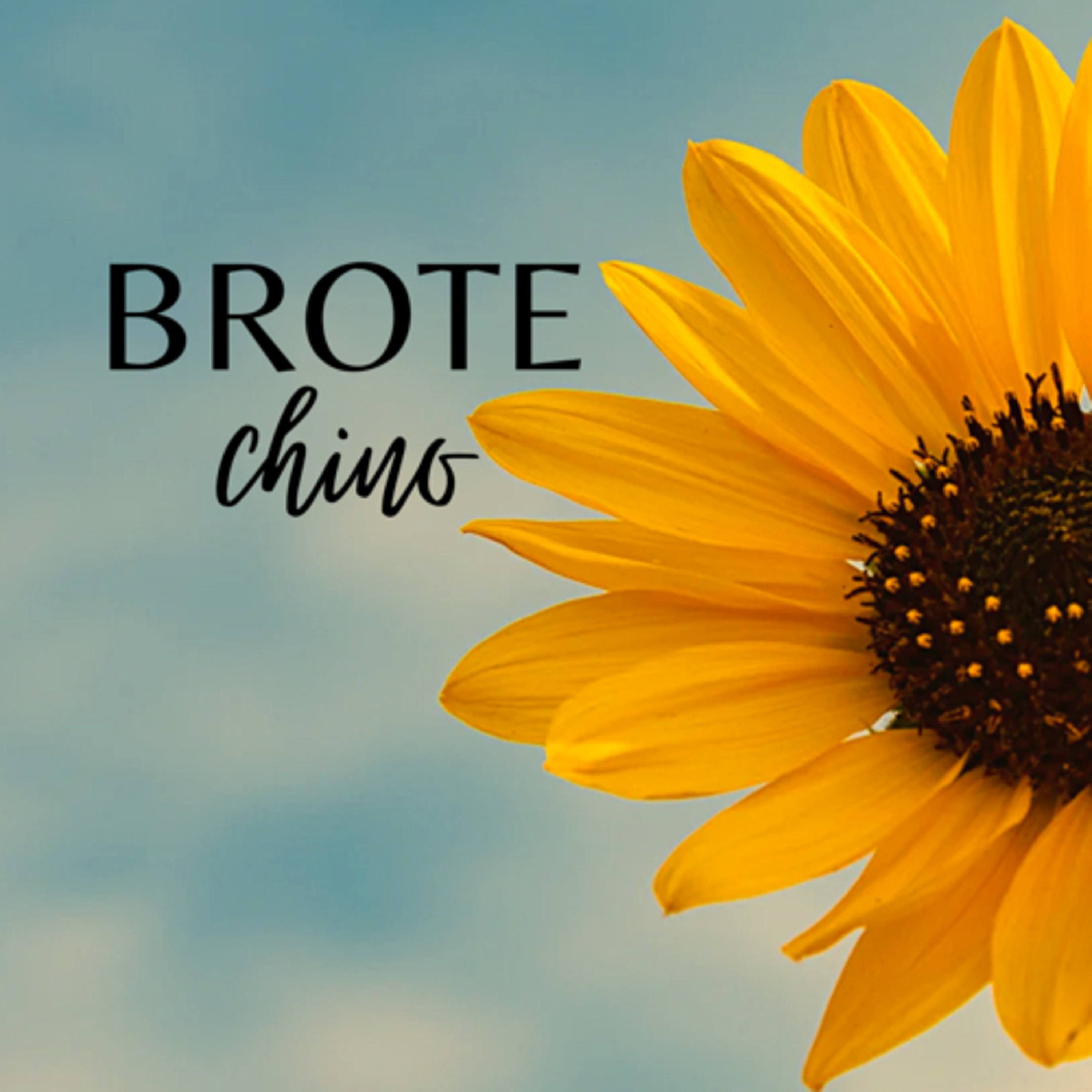 Brote Chino