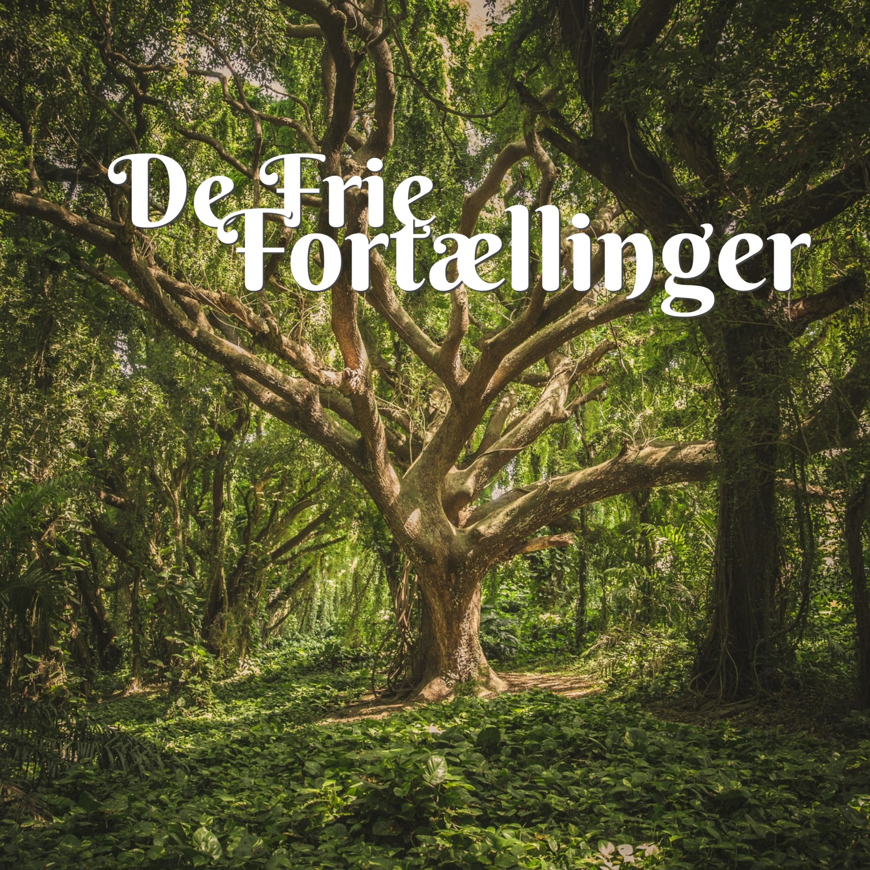 De Frie Fortællinger