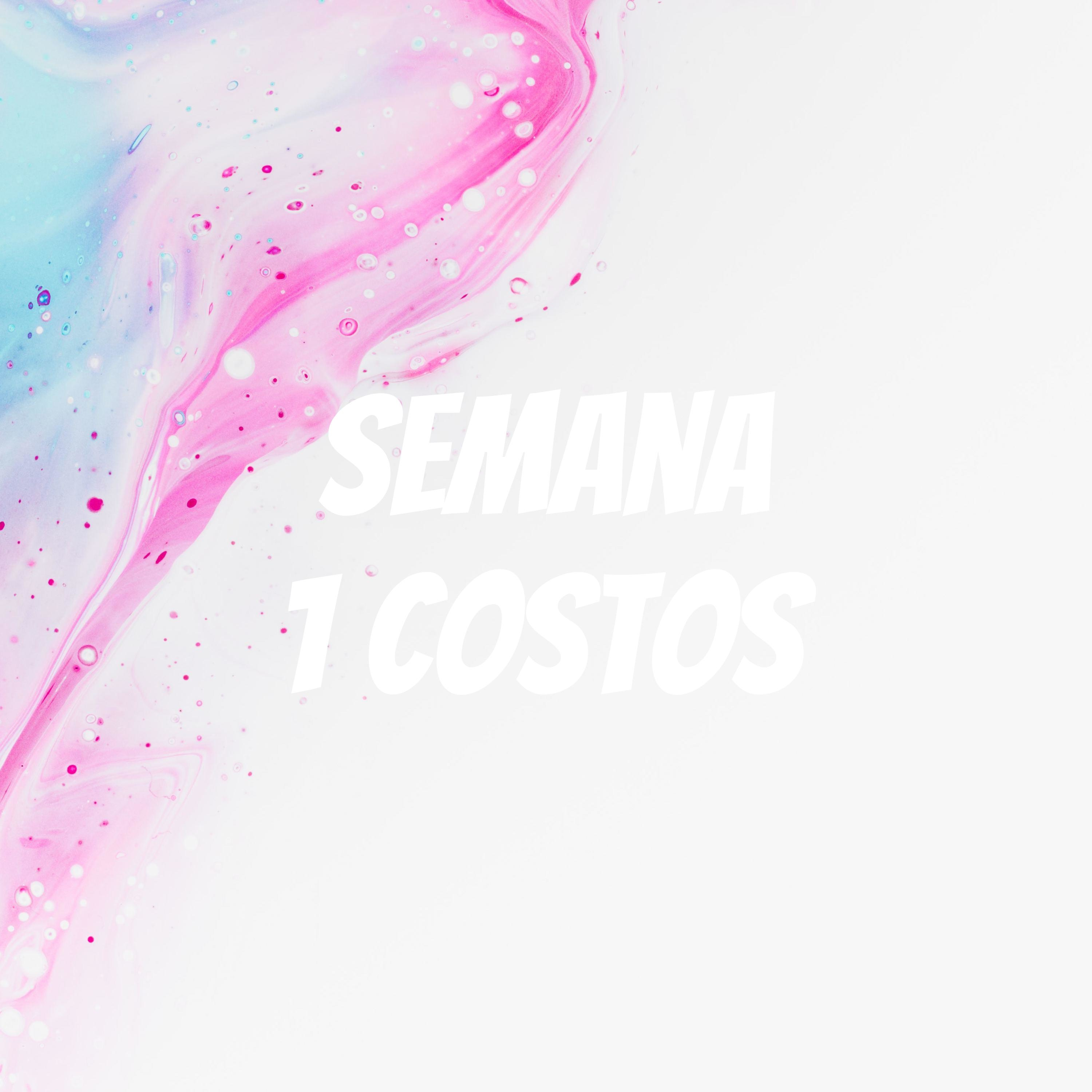 Semana 1 Costos