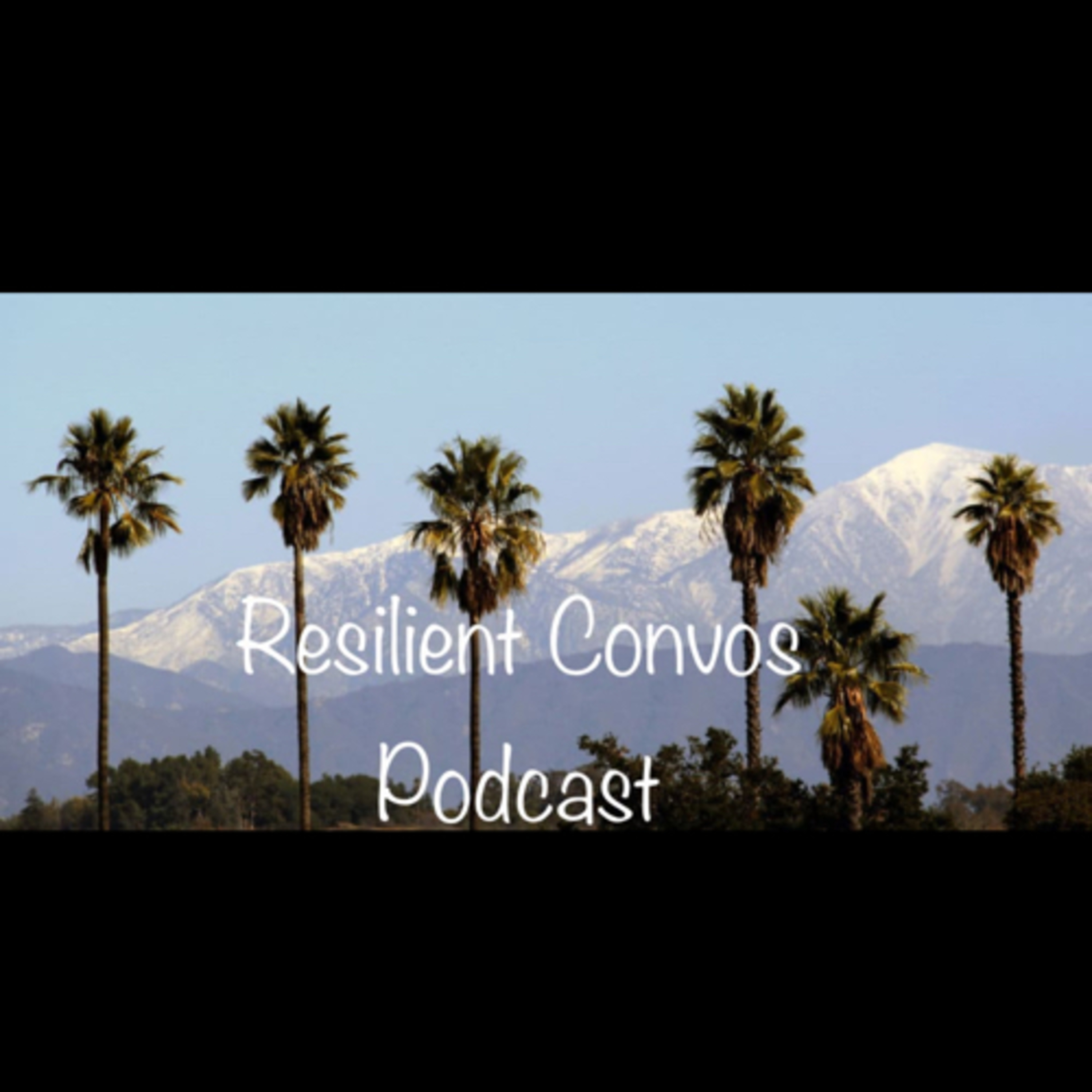 Resilient Convos