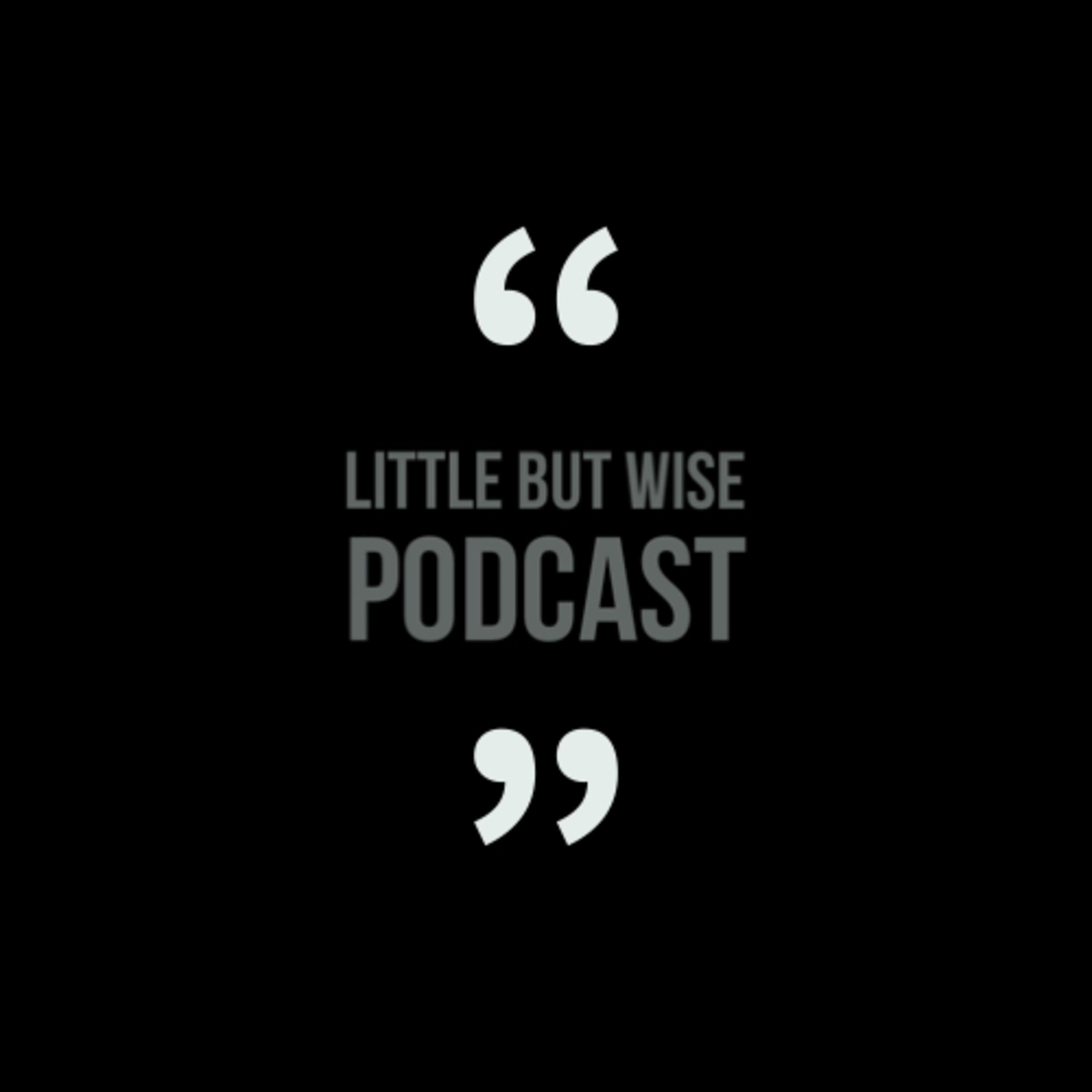 Little but wise podcast artwork
