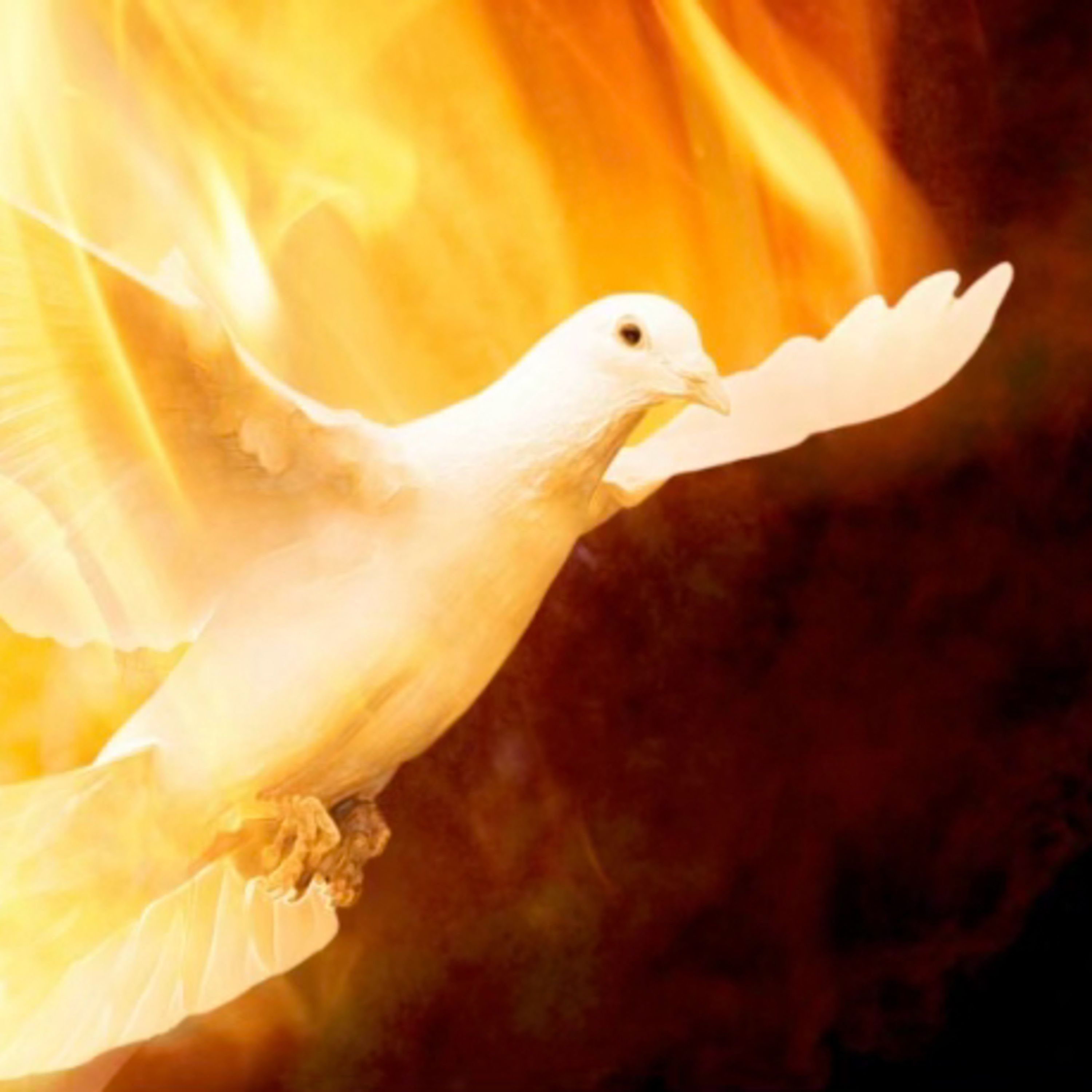 Saved and Sanctified podcast artwork