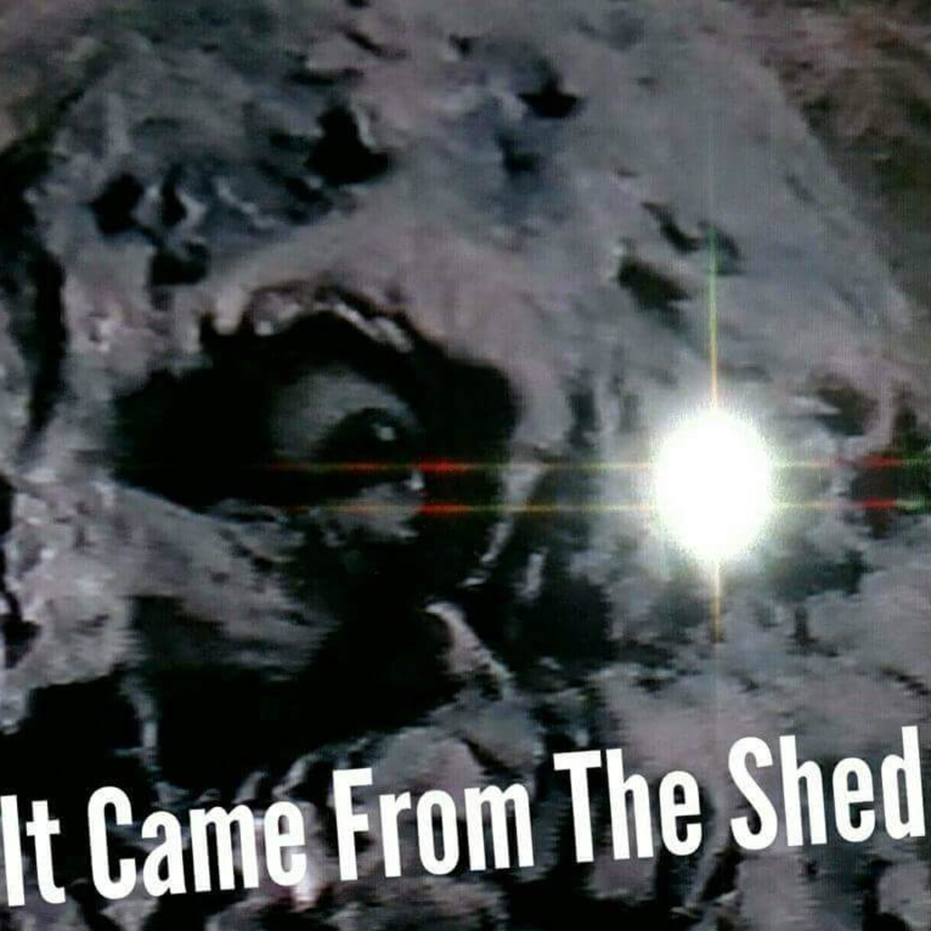 It Came From The Shed