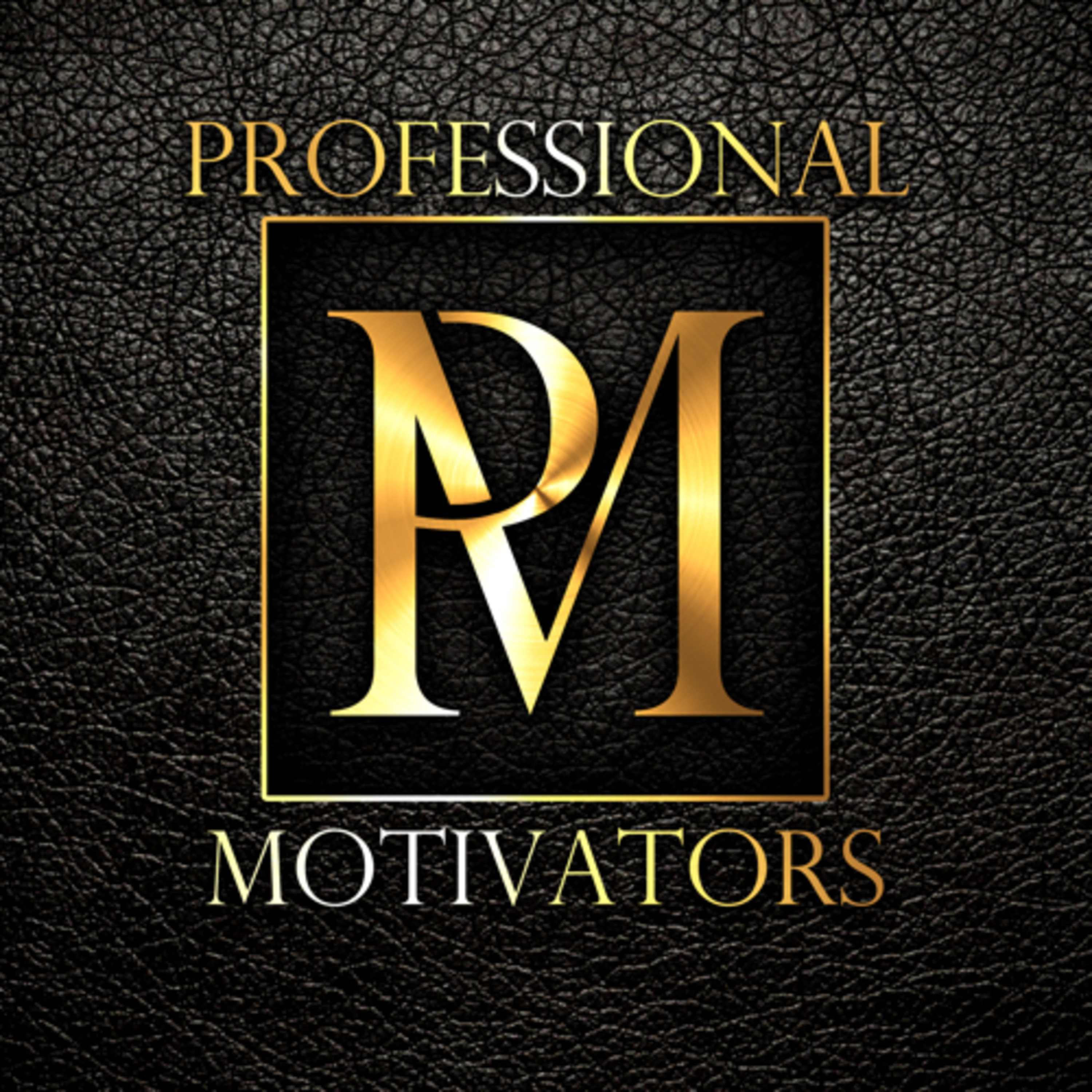 Professional Motivators