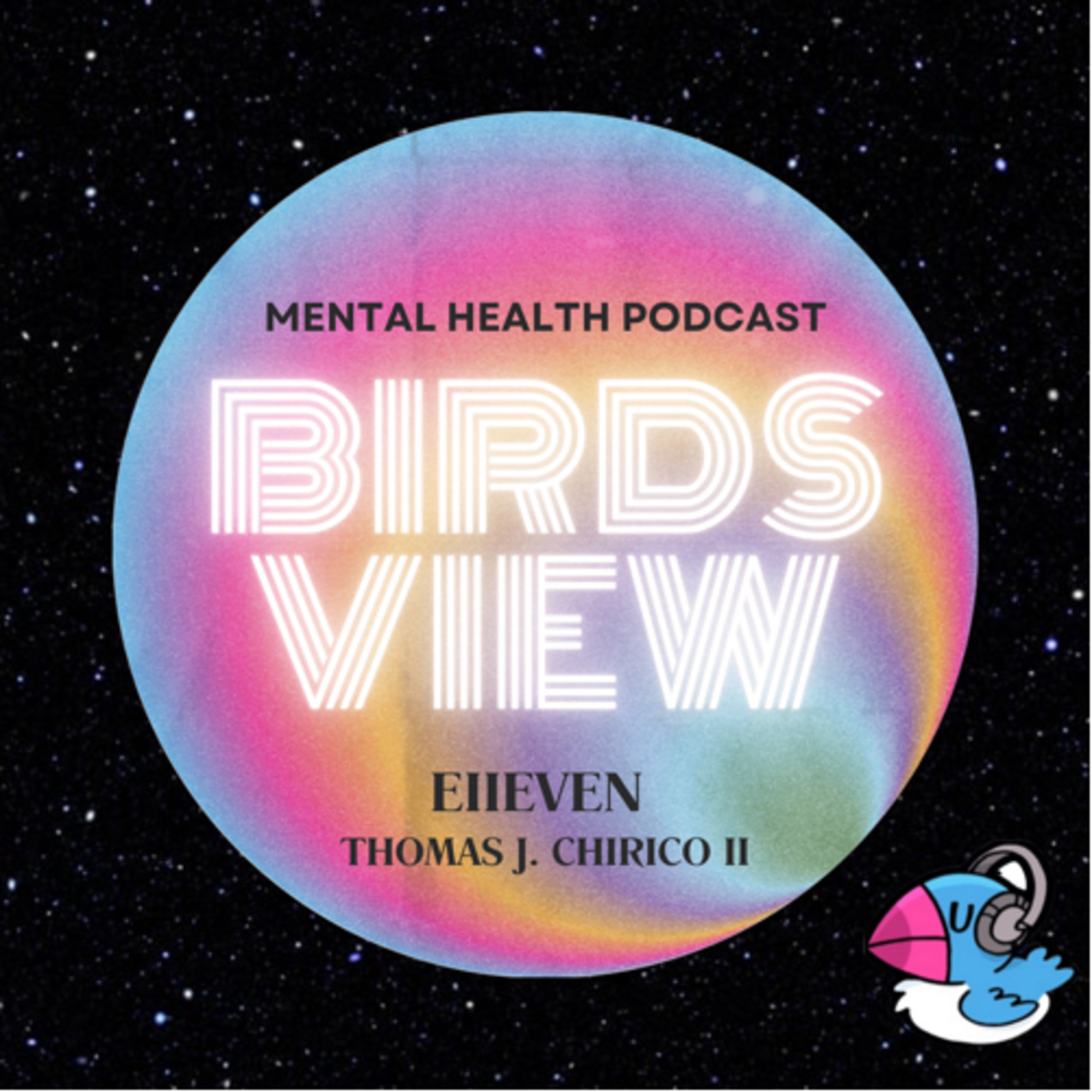Birds View 11