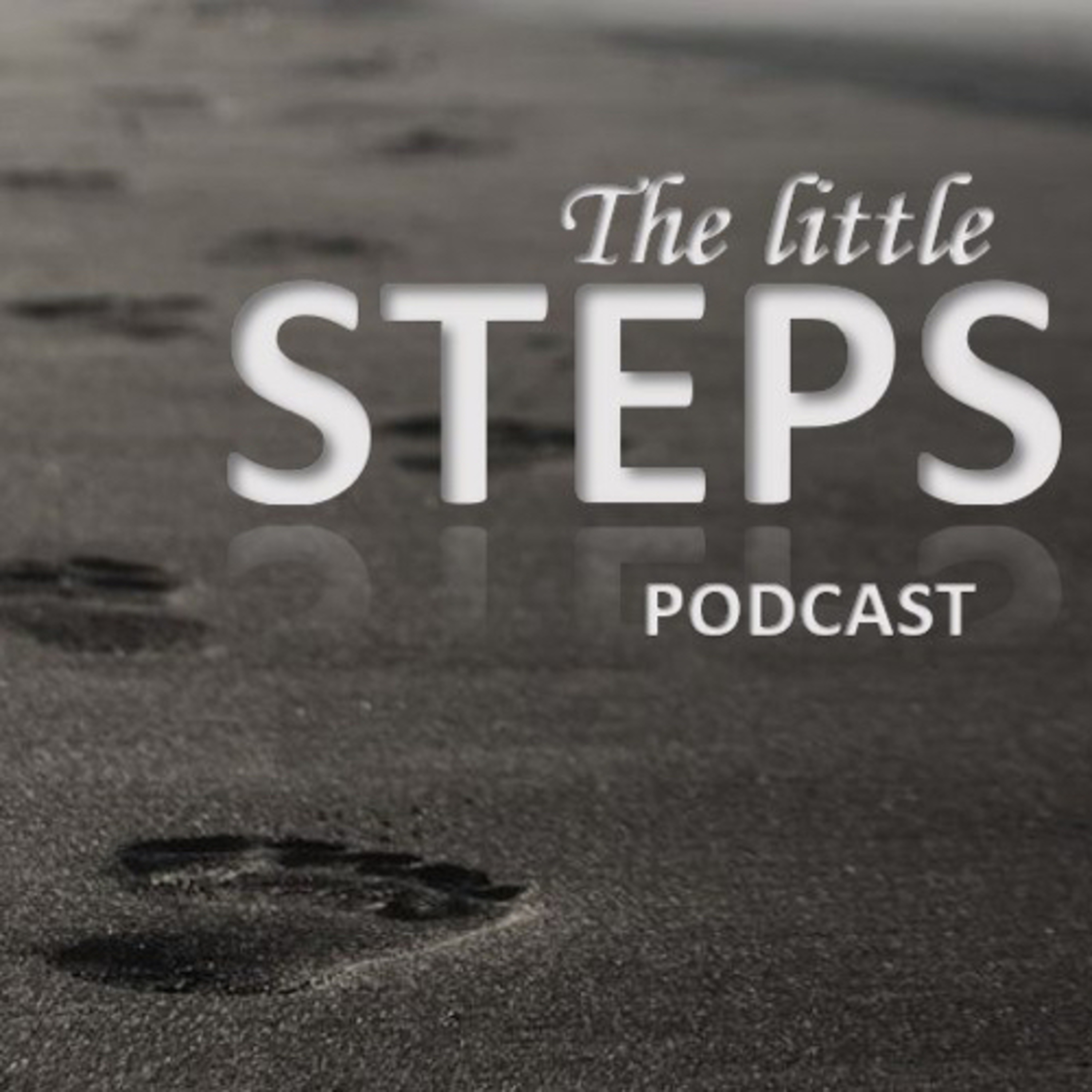 Little Steps Podcast podcast artwork