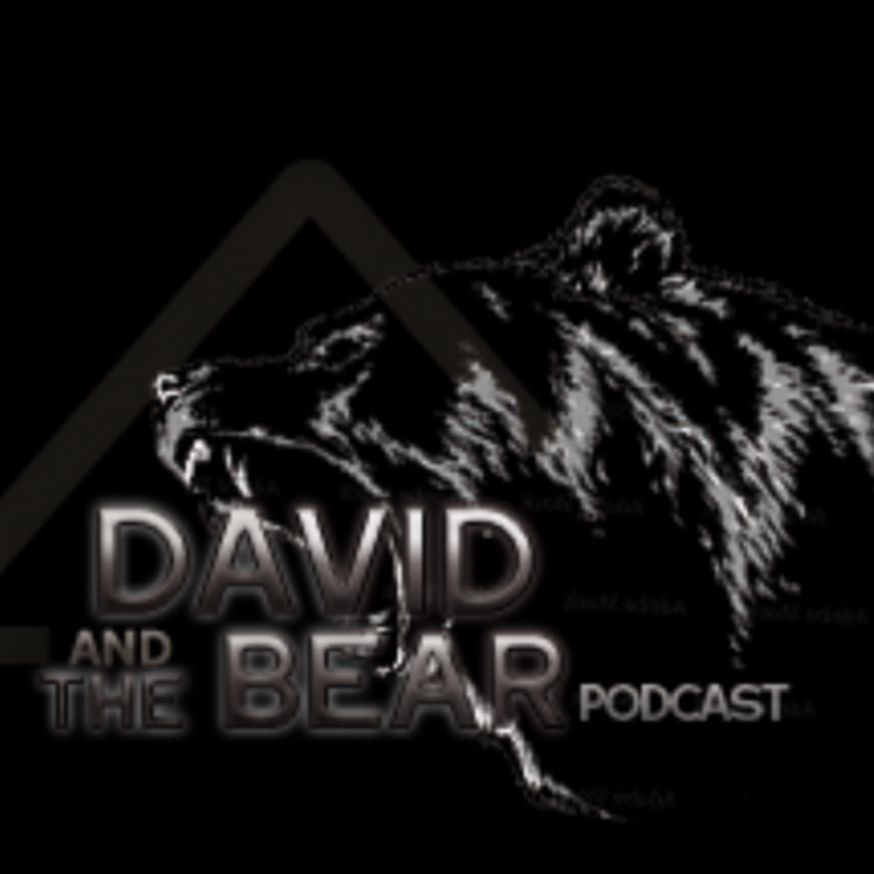 David and The Bear
